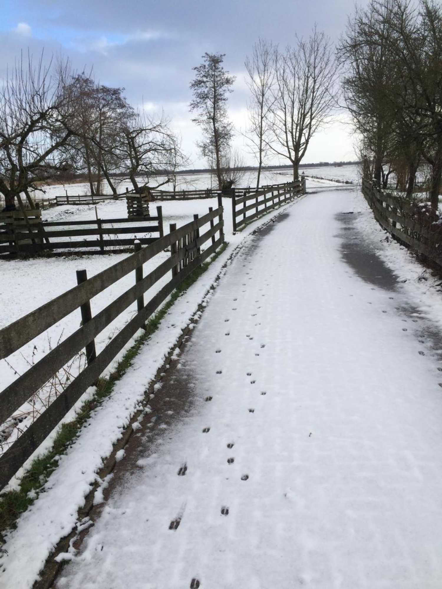 Gift card for The Black Sheep Hostel