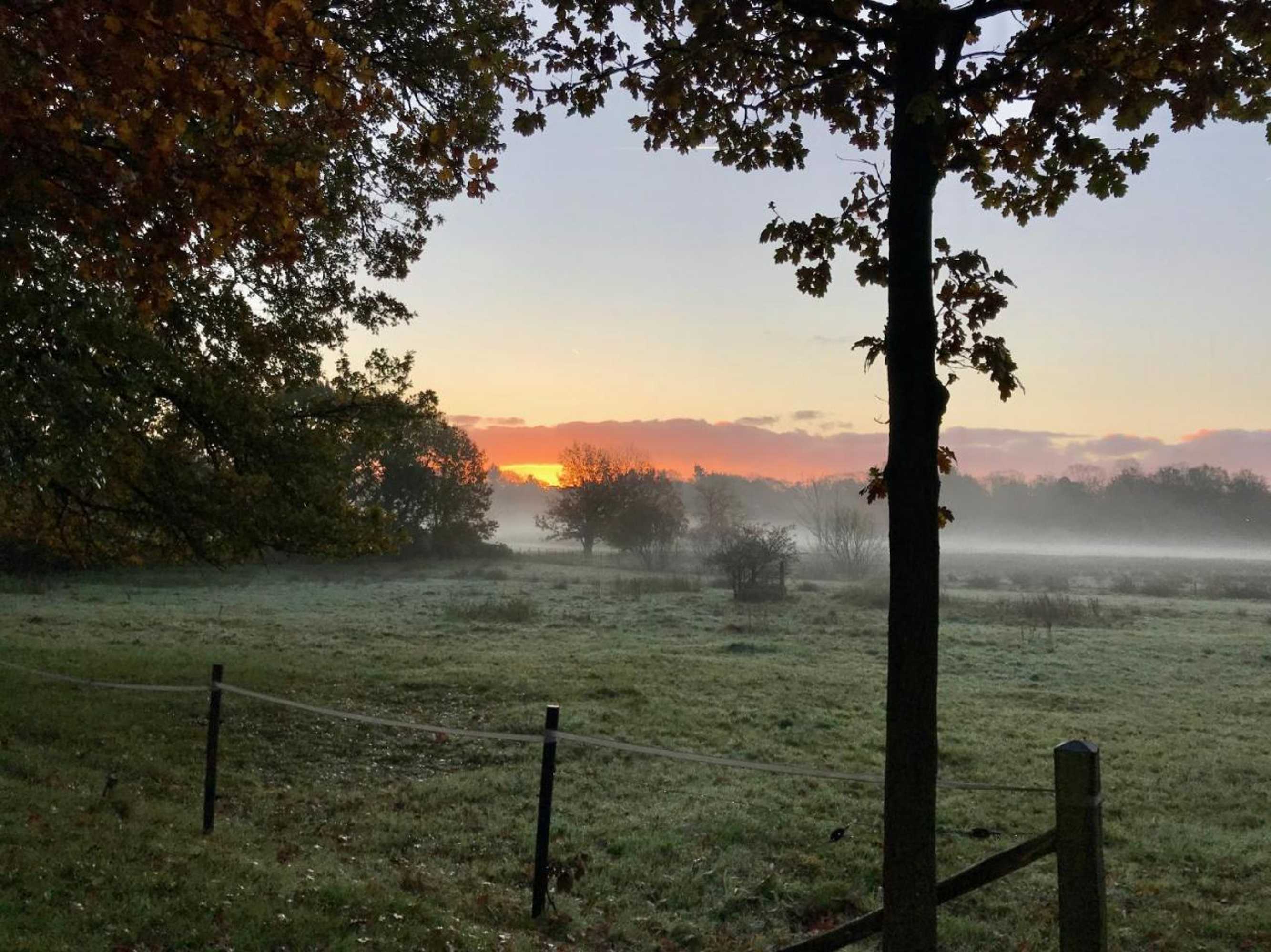 Gift card for The Pool House