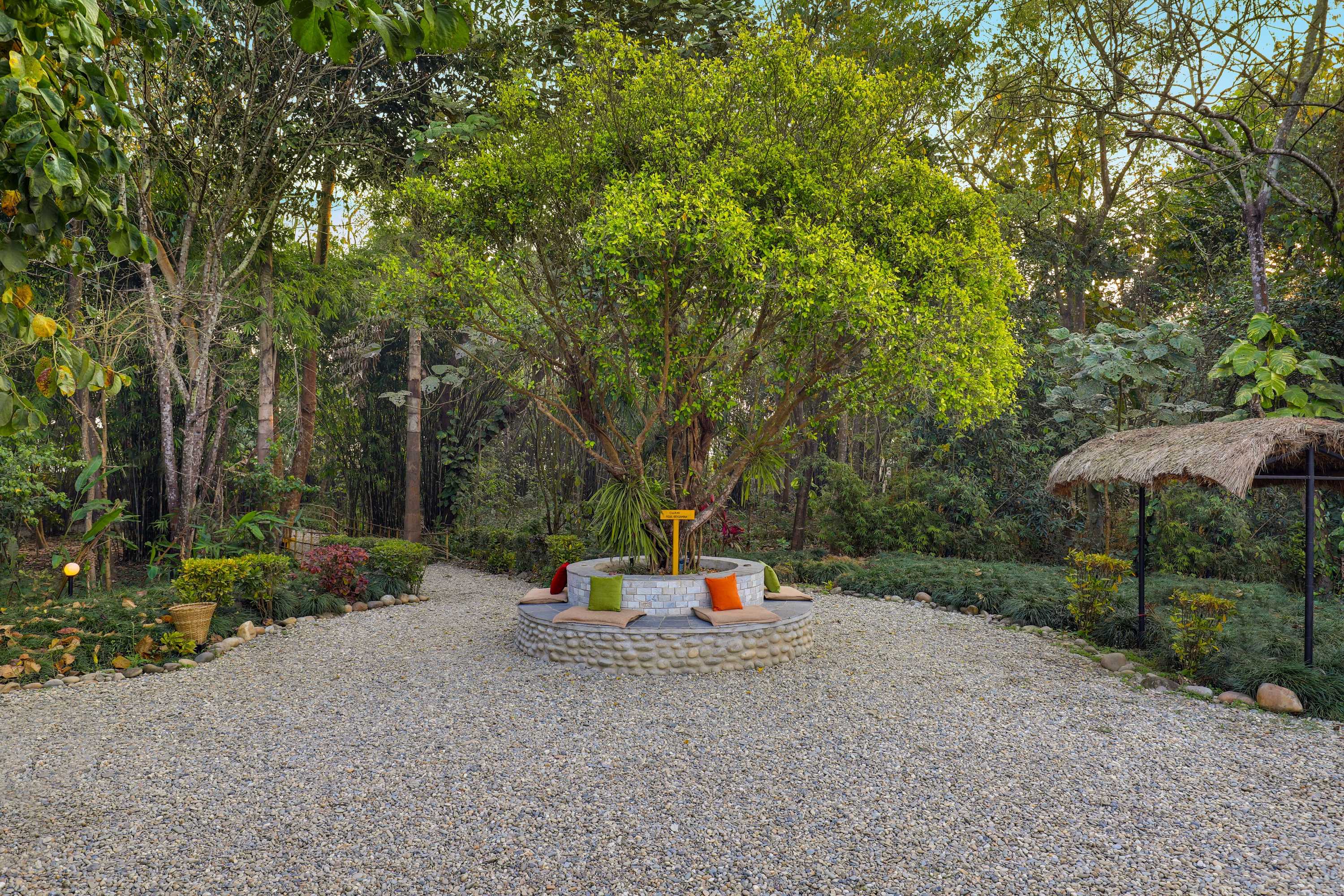 Gift card for Tigerland Safari - A Lemon Tree Resort Gift card for Tigerland Safari - A Lemon Tree Resort