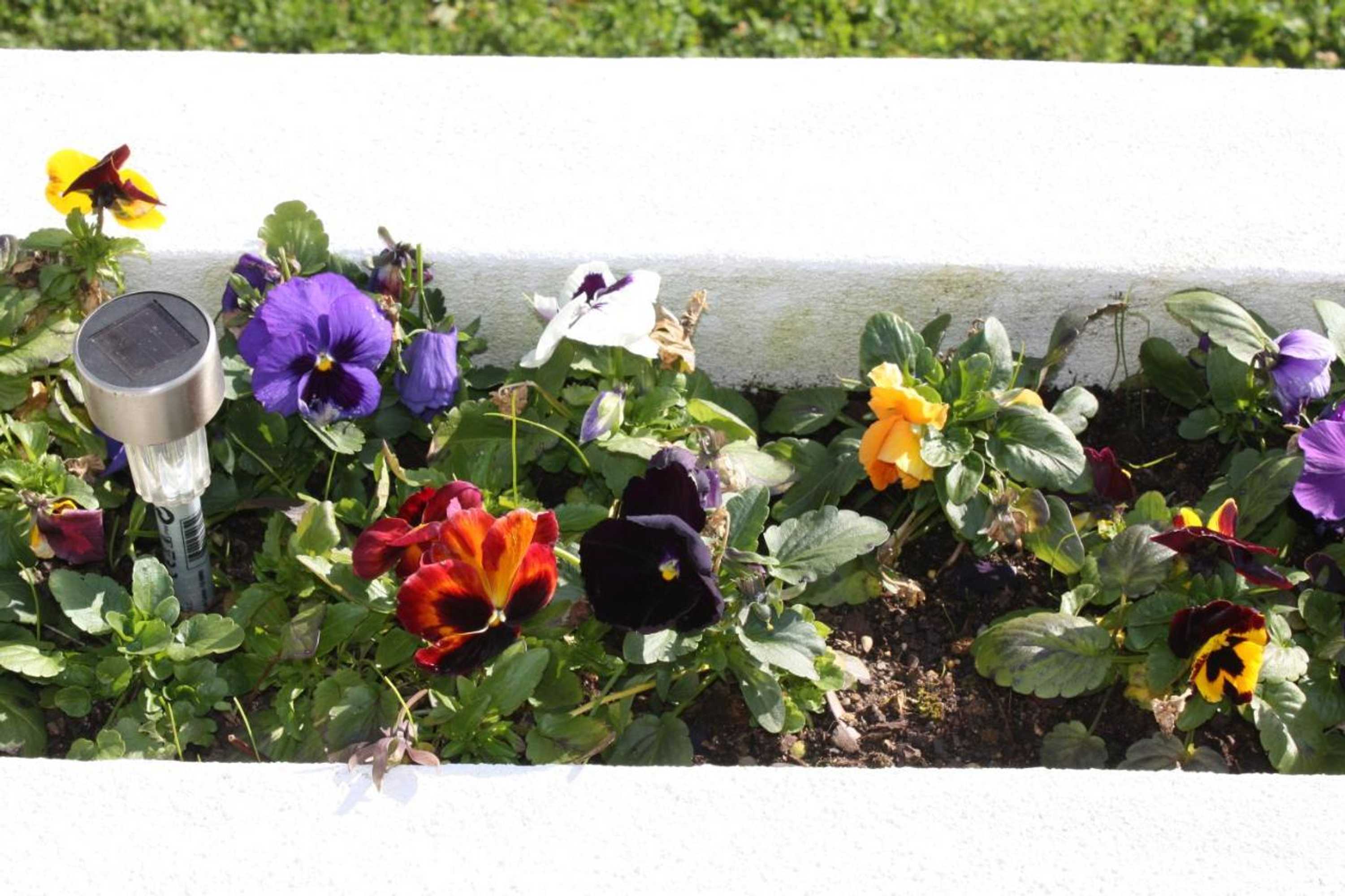 Gift card for Quinta do Cerquito