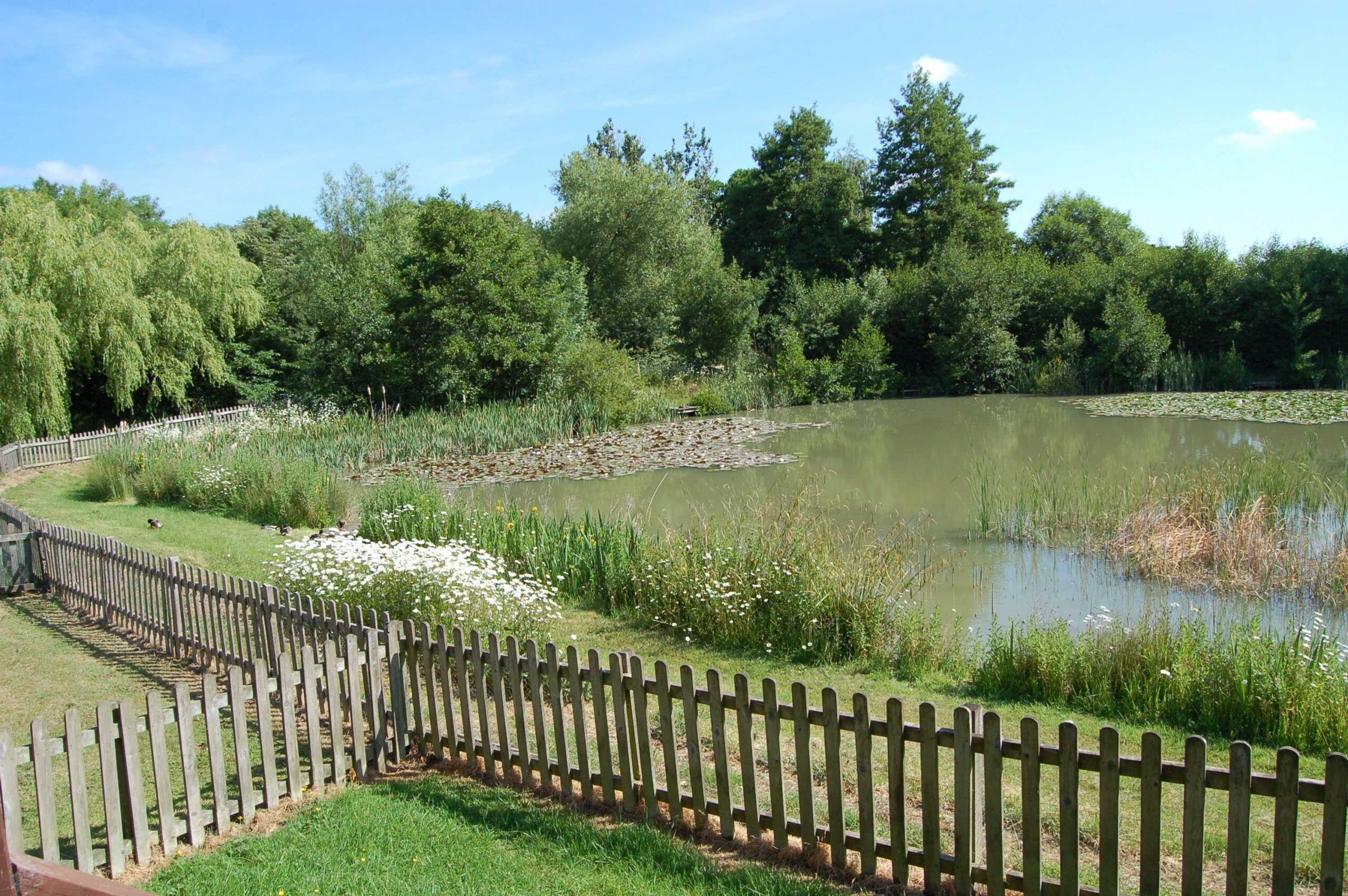 Gift card for Watermeadow Lakes & Lodges Gift card for Watermeadow Lakes & Lodges