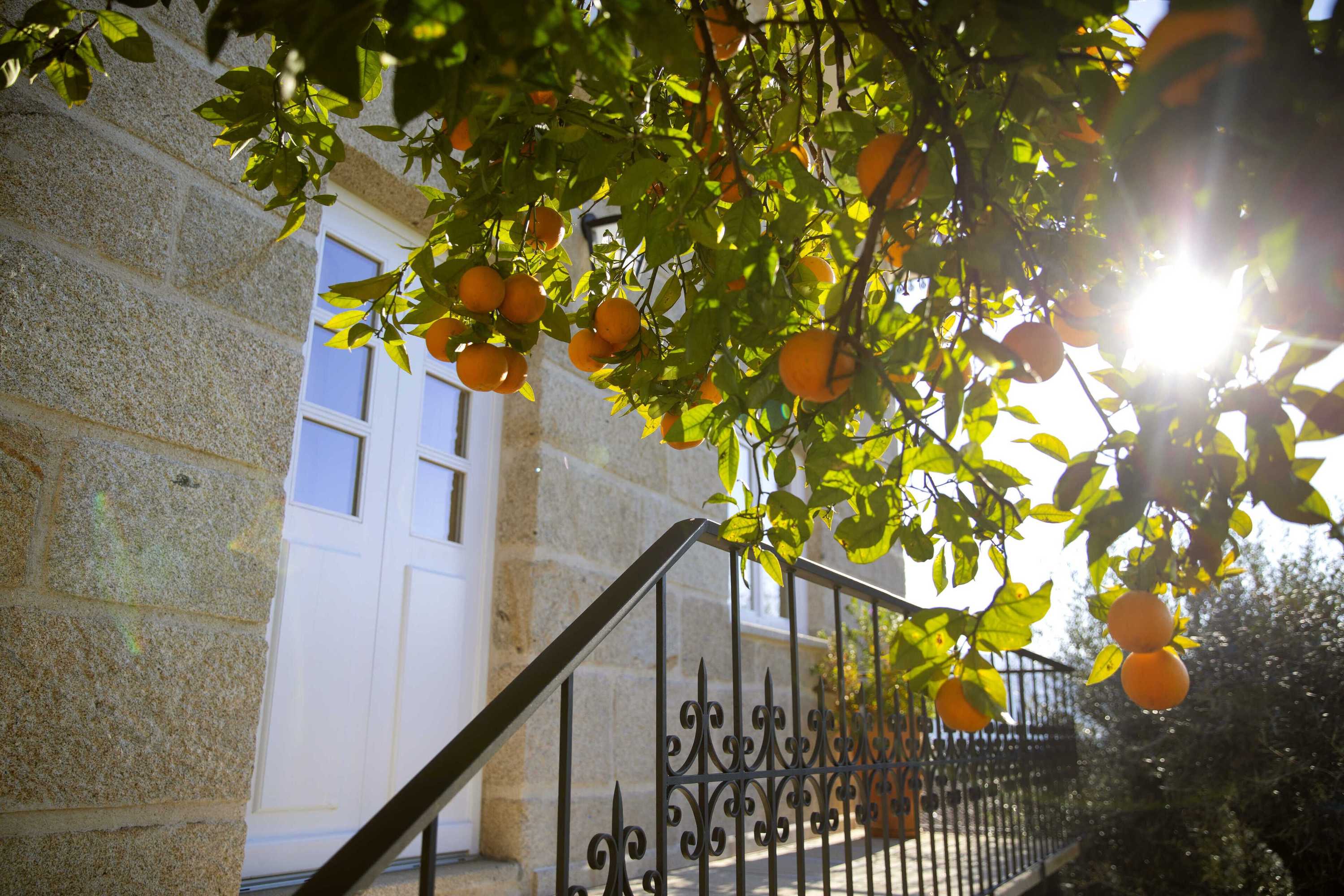 Gift card for Mãe - Casas de Selim