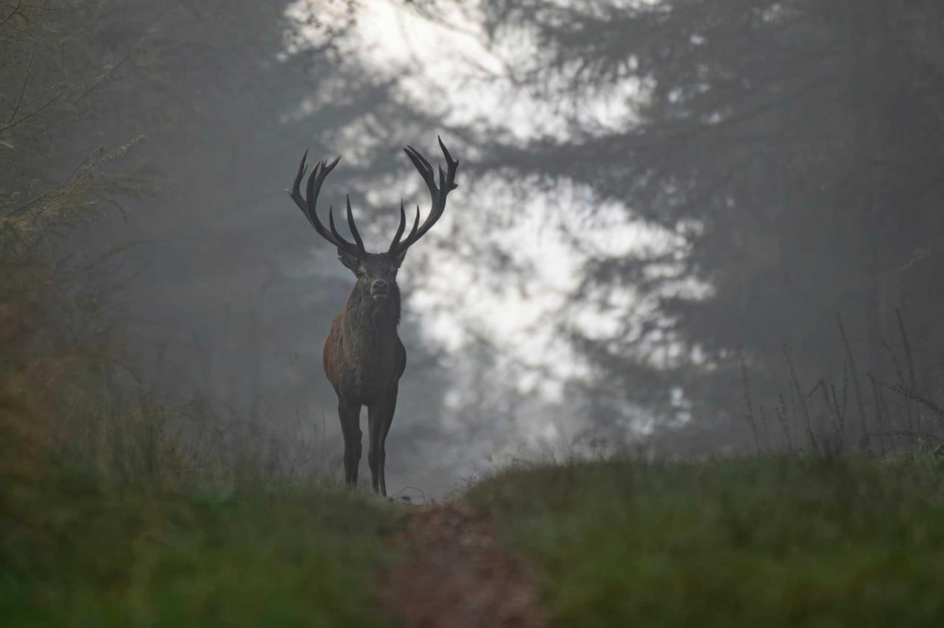 Gift card for B&b In de Aap Gelogeerd