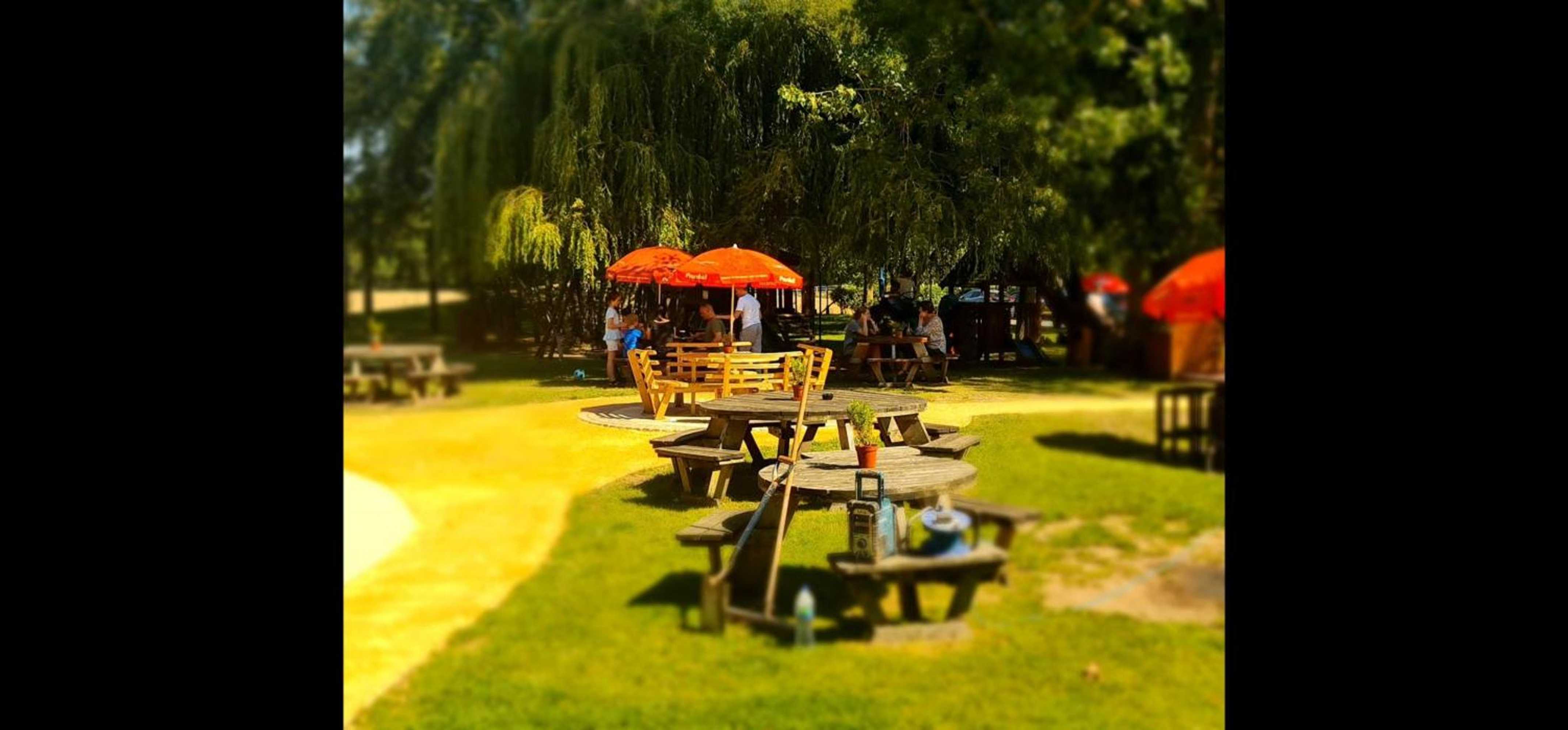 Gift card for The Black Swan