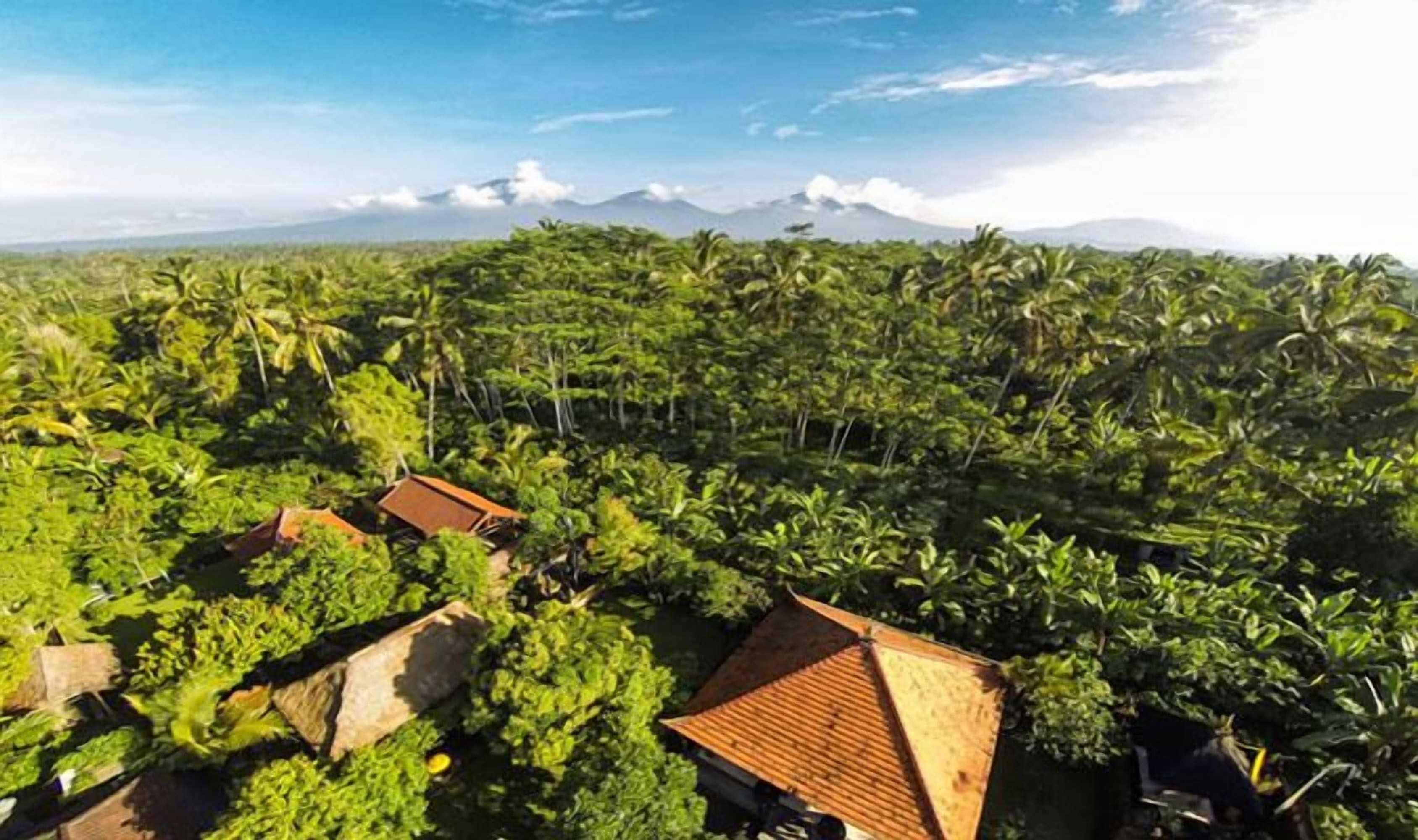 Gift card for Rumah Desa