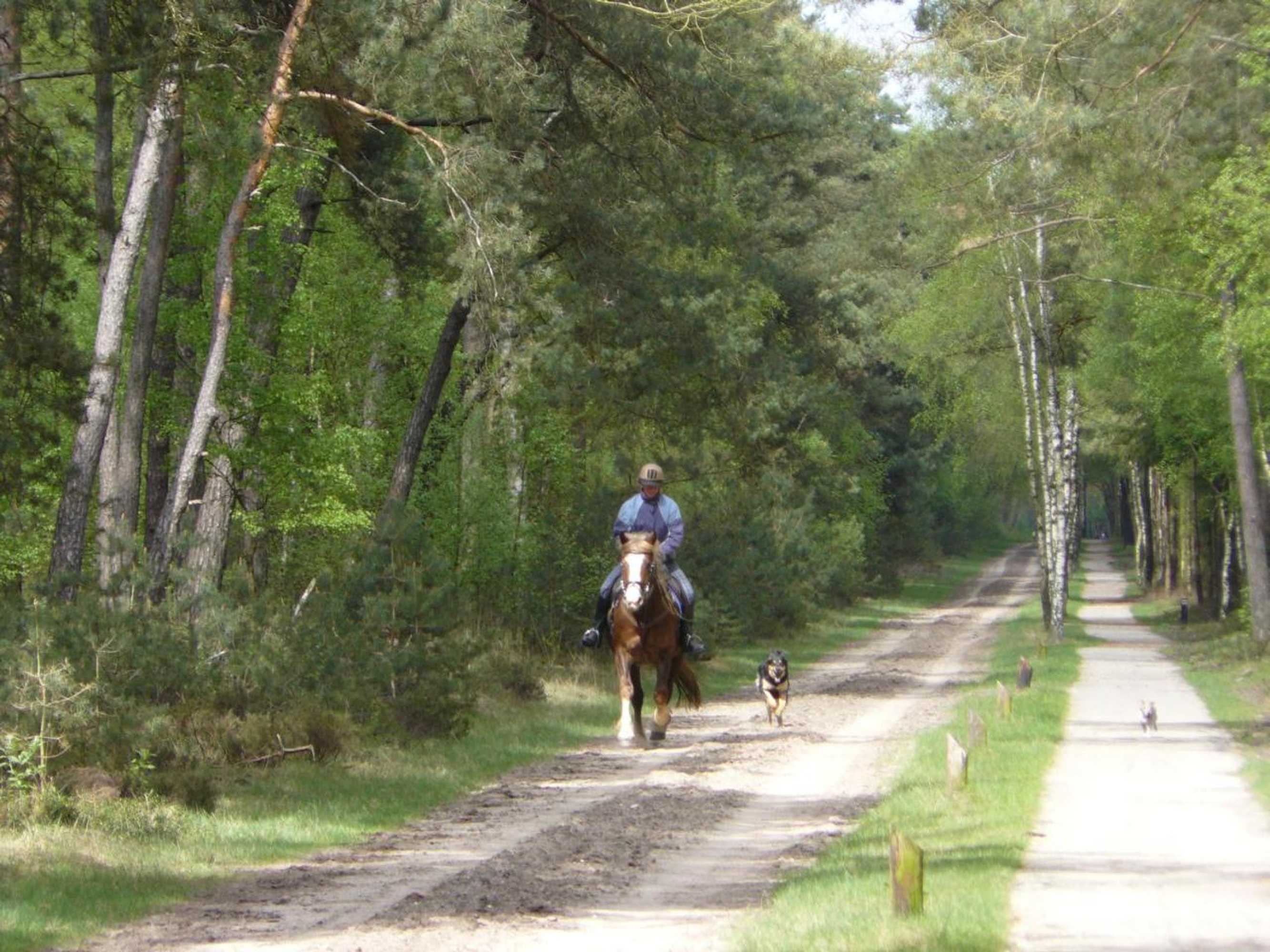 Gift card for Bakhuisje