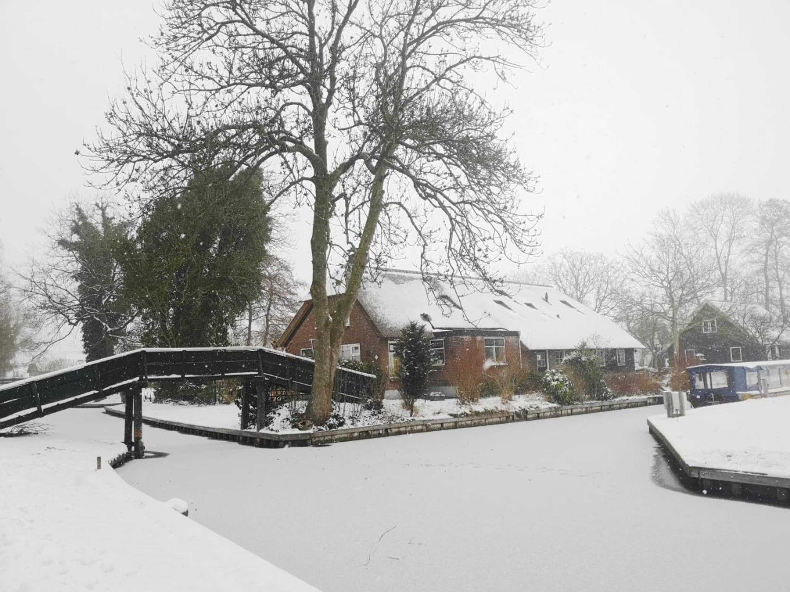 Gift card for The Black Sheep Hostel