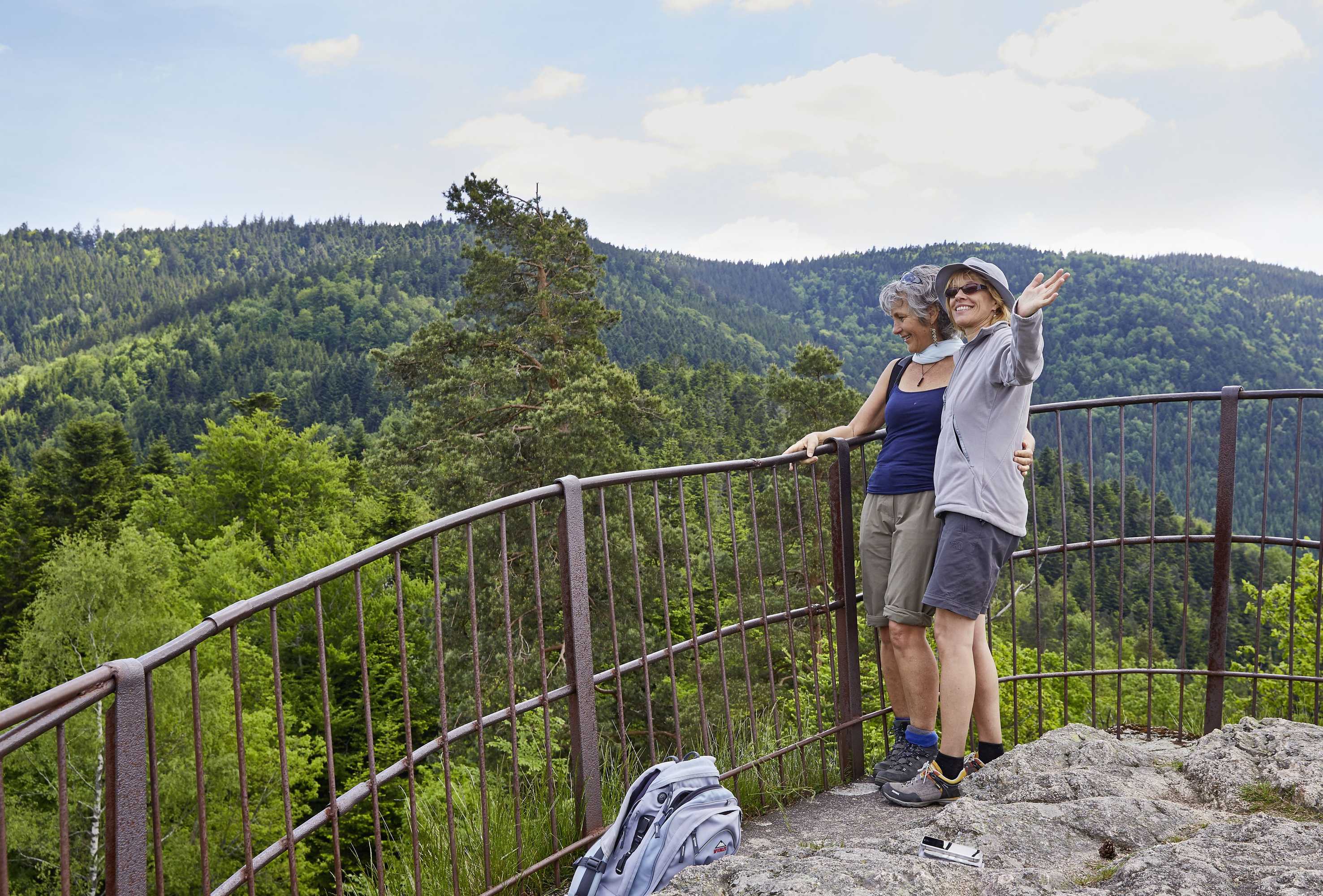 Gift card for Elzland Hotel Pfauen Wellness & Spa