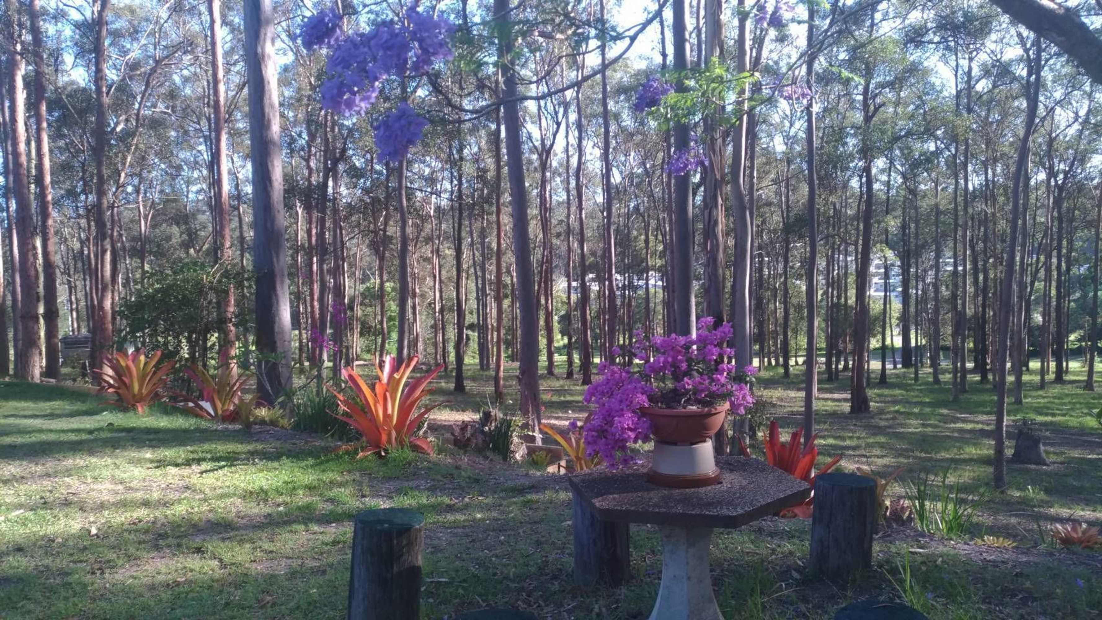 Gift card for Springwood Meditation Vacation Center Gift card for Springwood Meditation Vacation Center