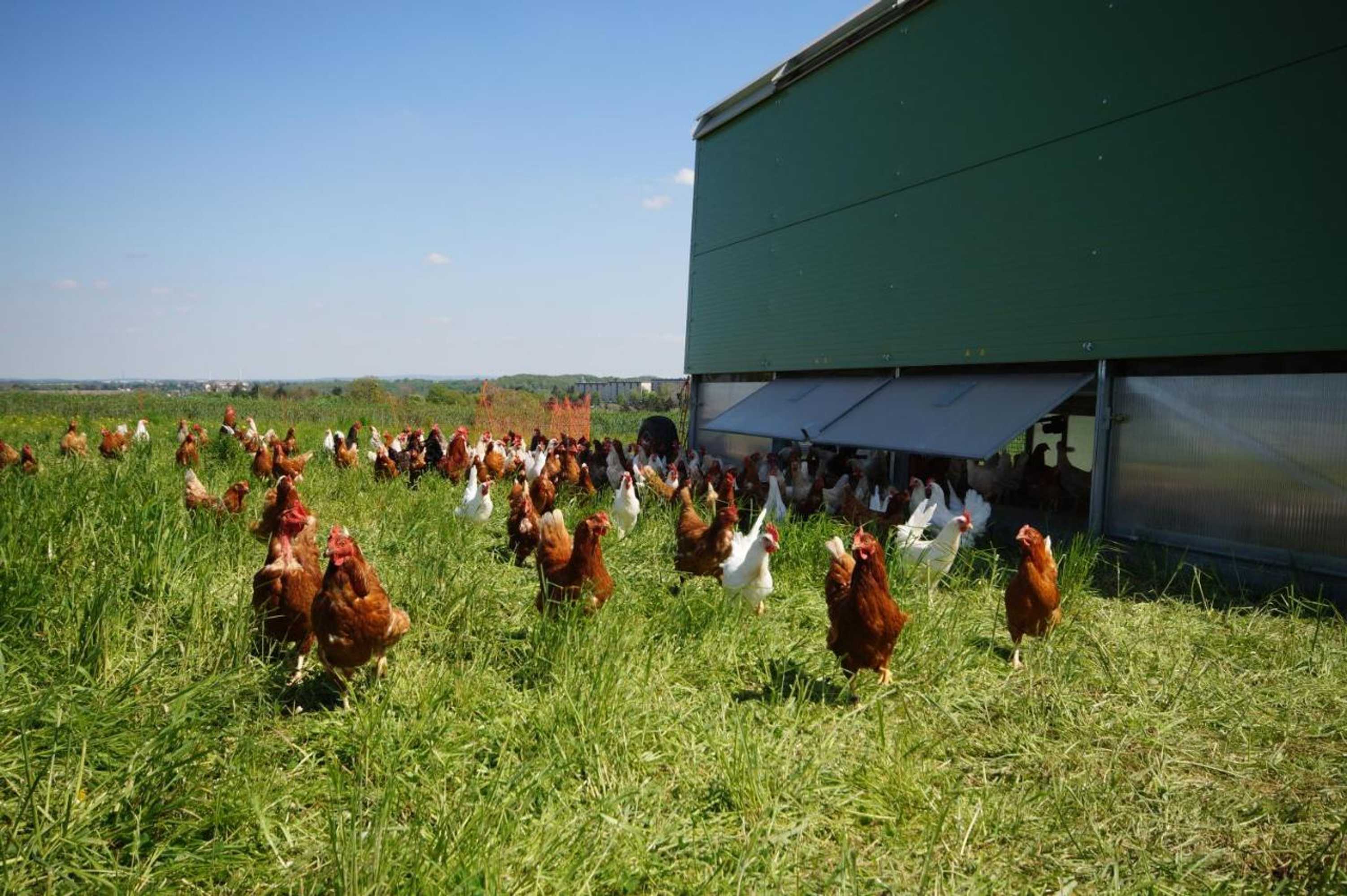 Gift card for Regenbogenhof Rudelswalde