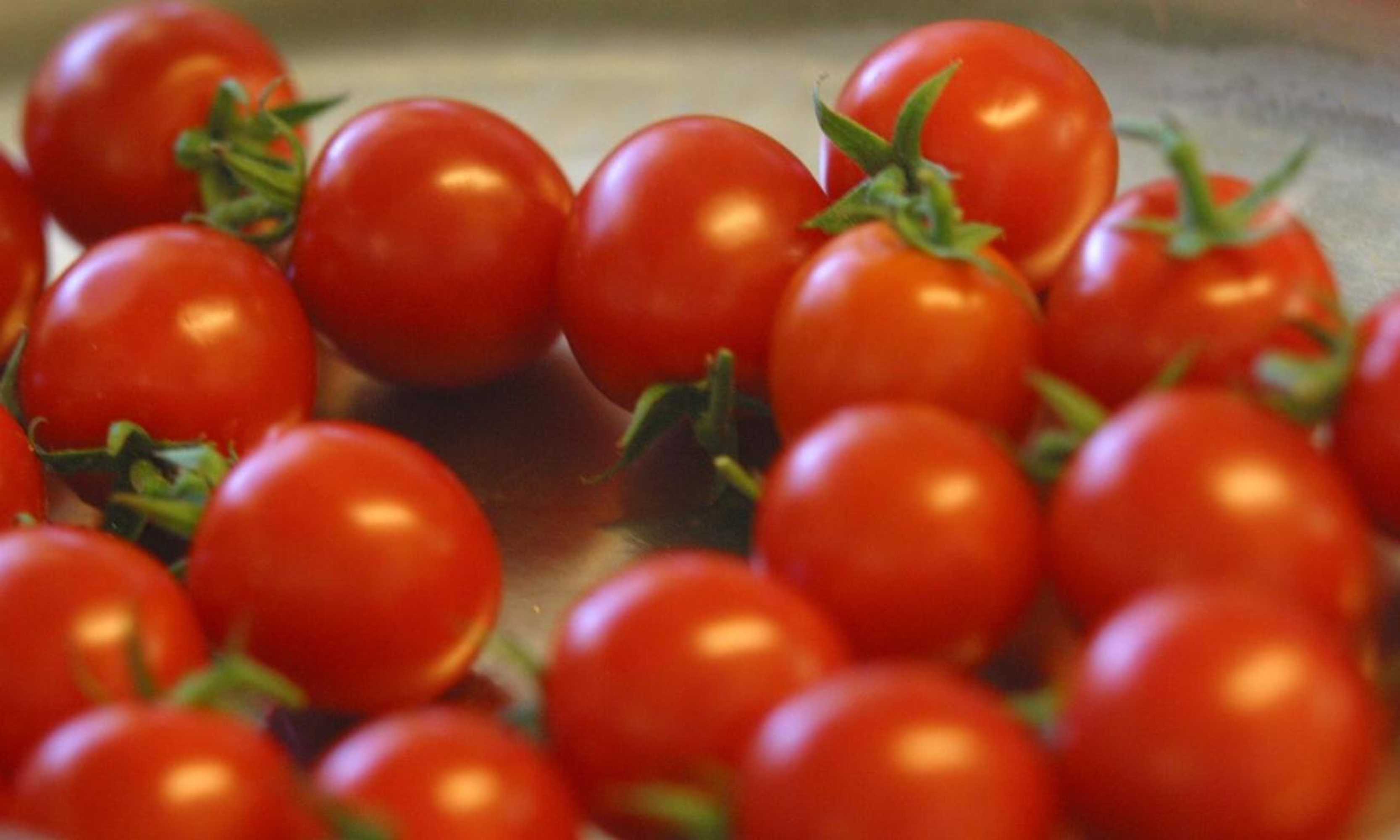 Gift card for Hotel Vivendi