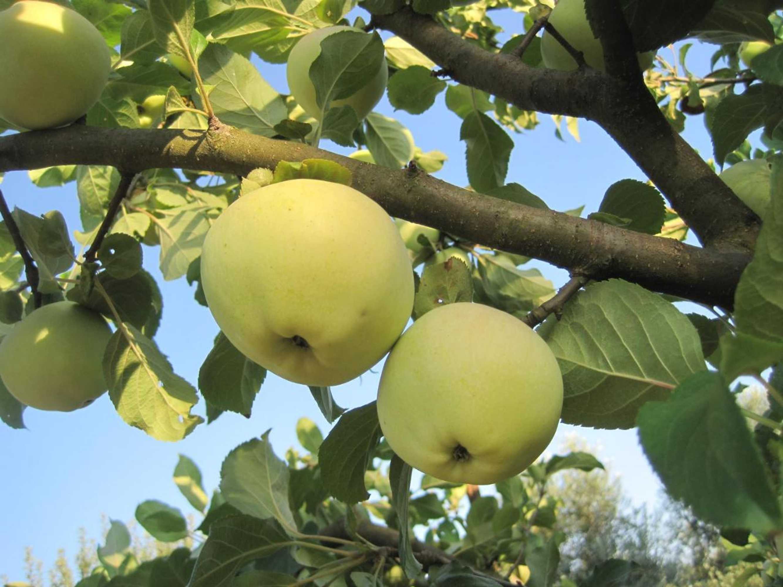 Gift card for Casa do Retiro Gift card for Casa do Retiro