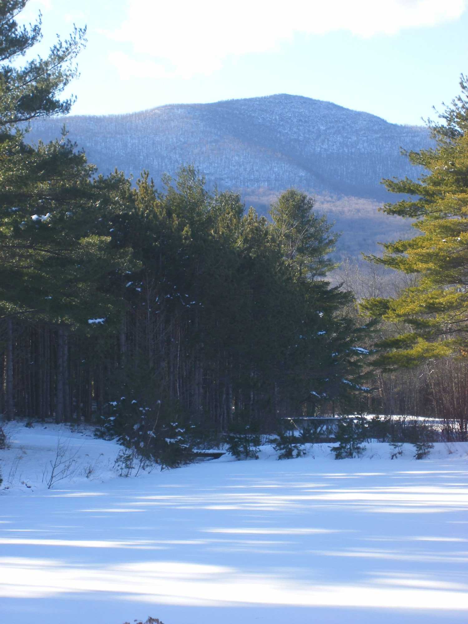 Gift card for Hotel Vienna