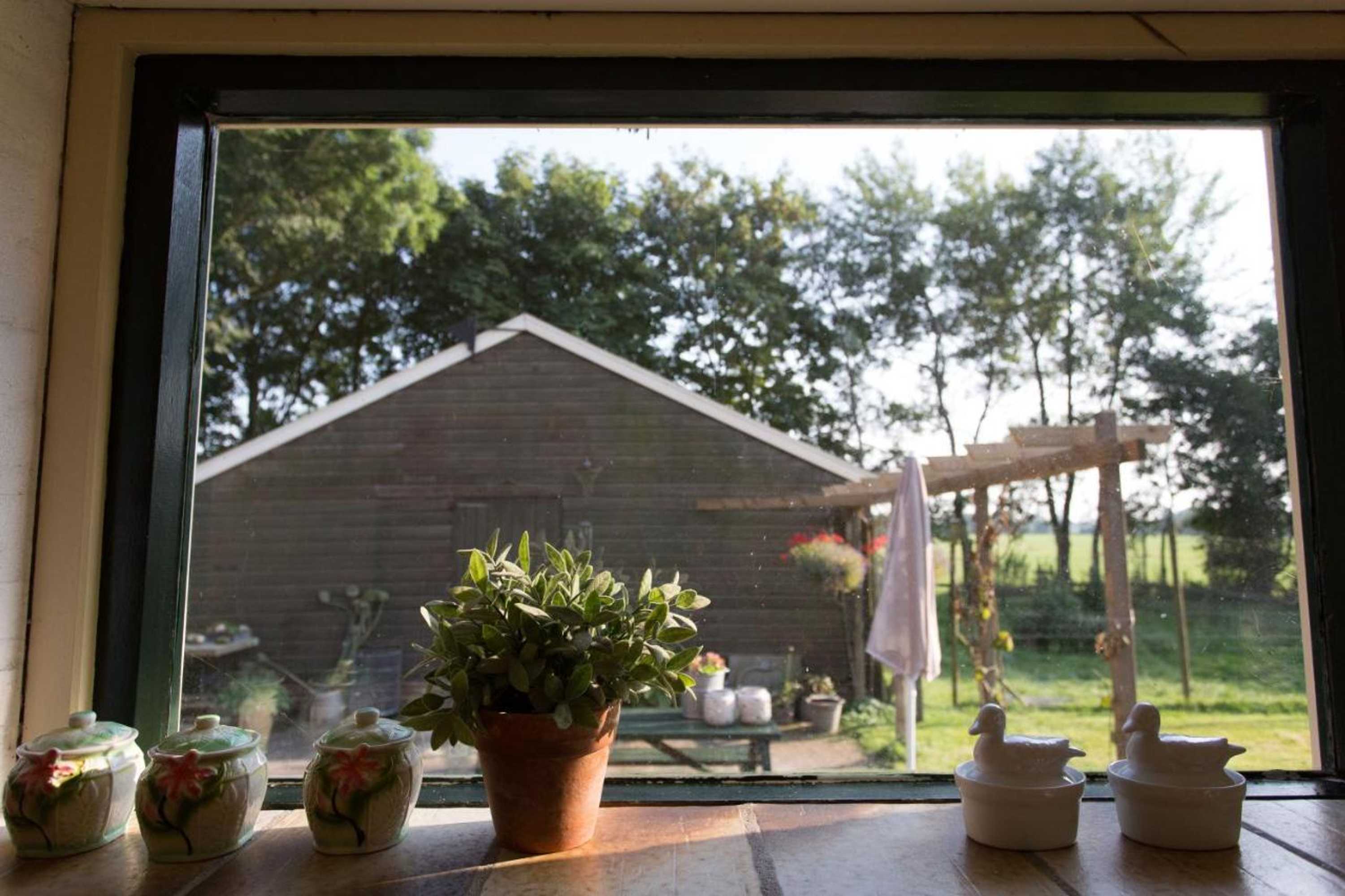 Gift card for Blier Herne