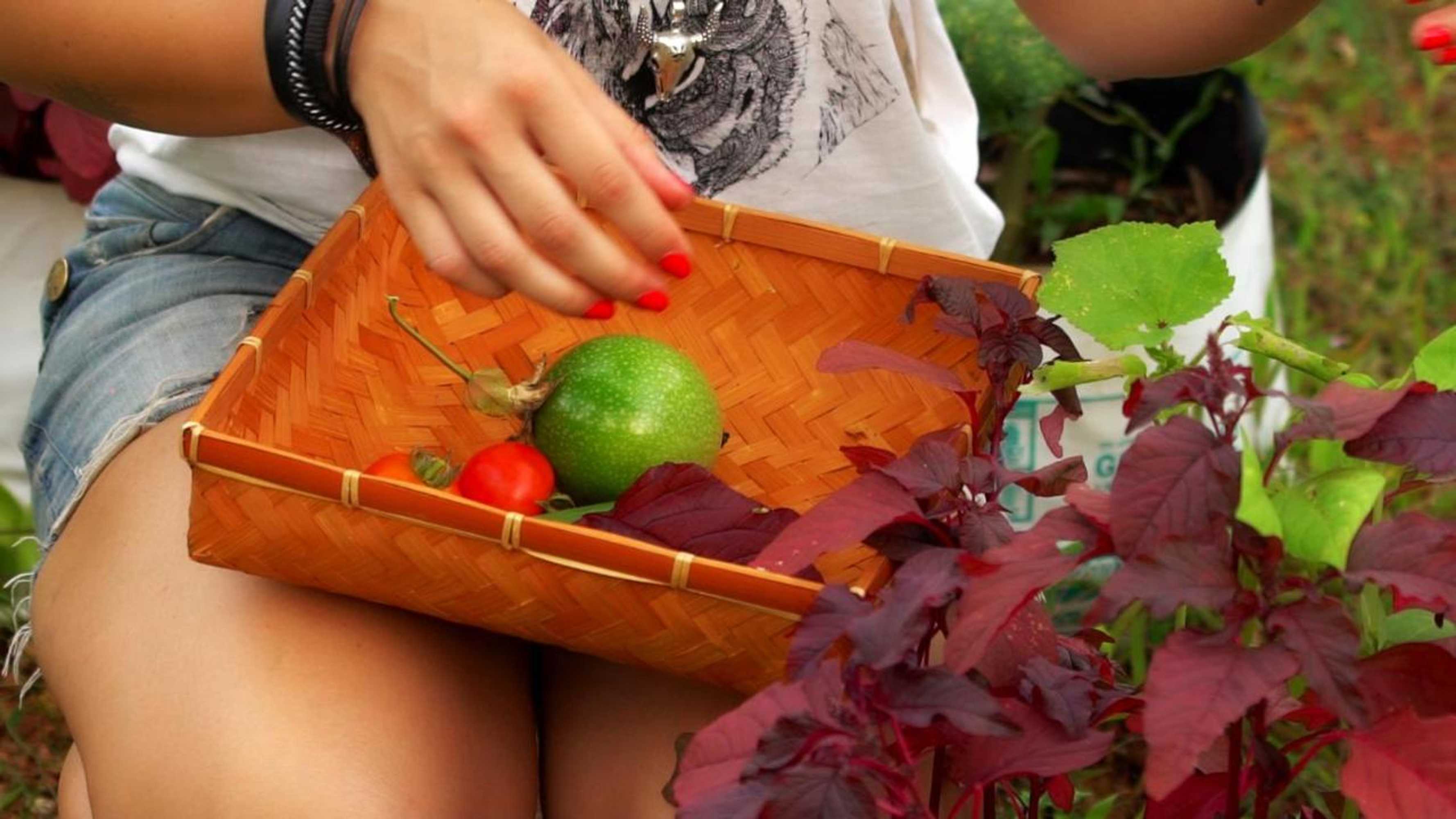 Gift card for Munroe Eco Camp