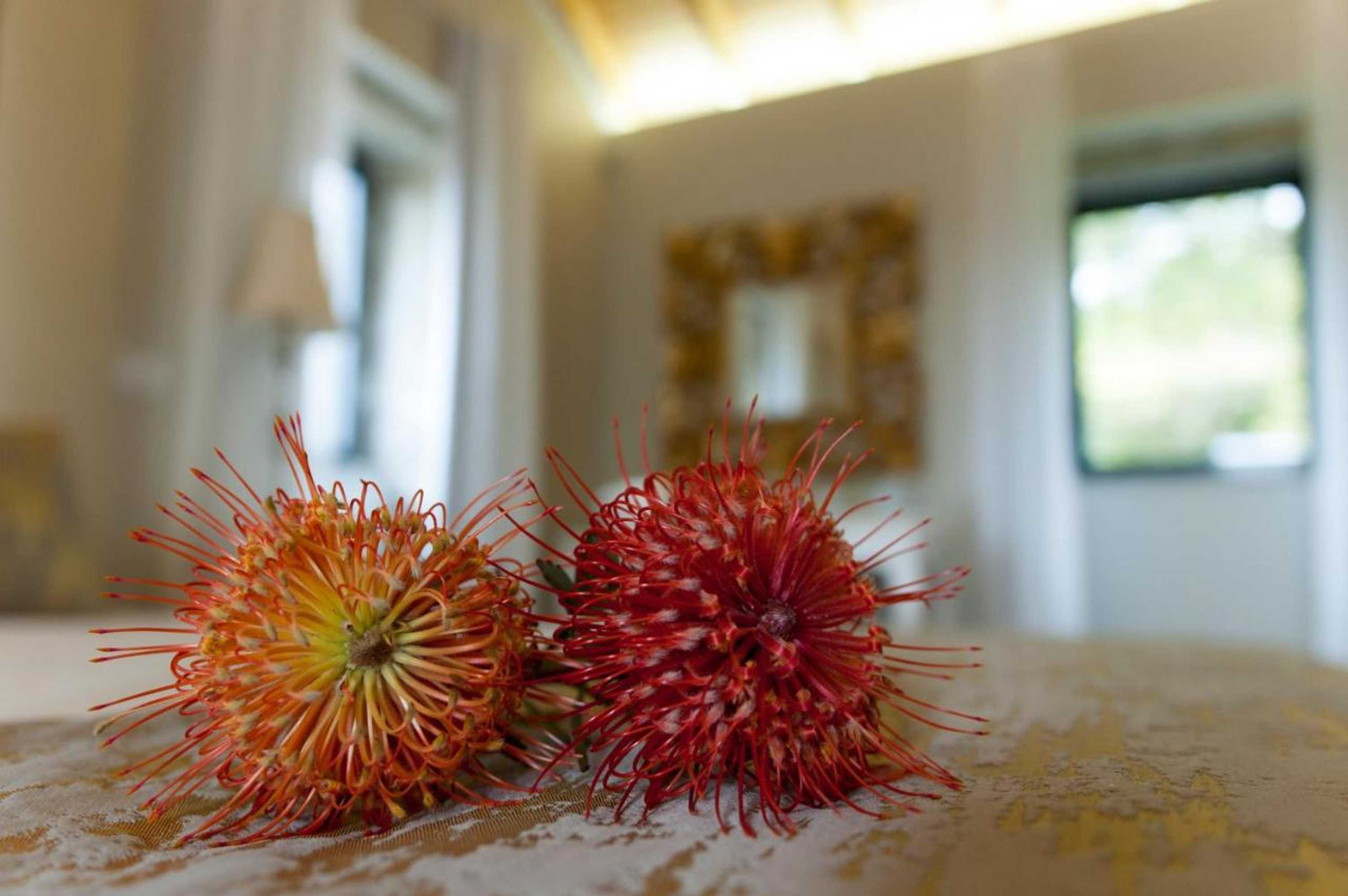 Gift card for Eira Dos Canastros