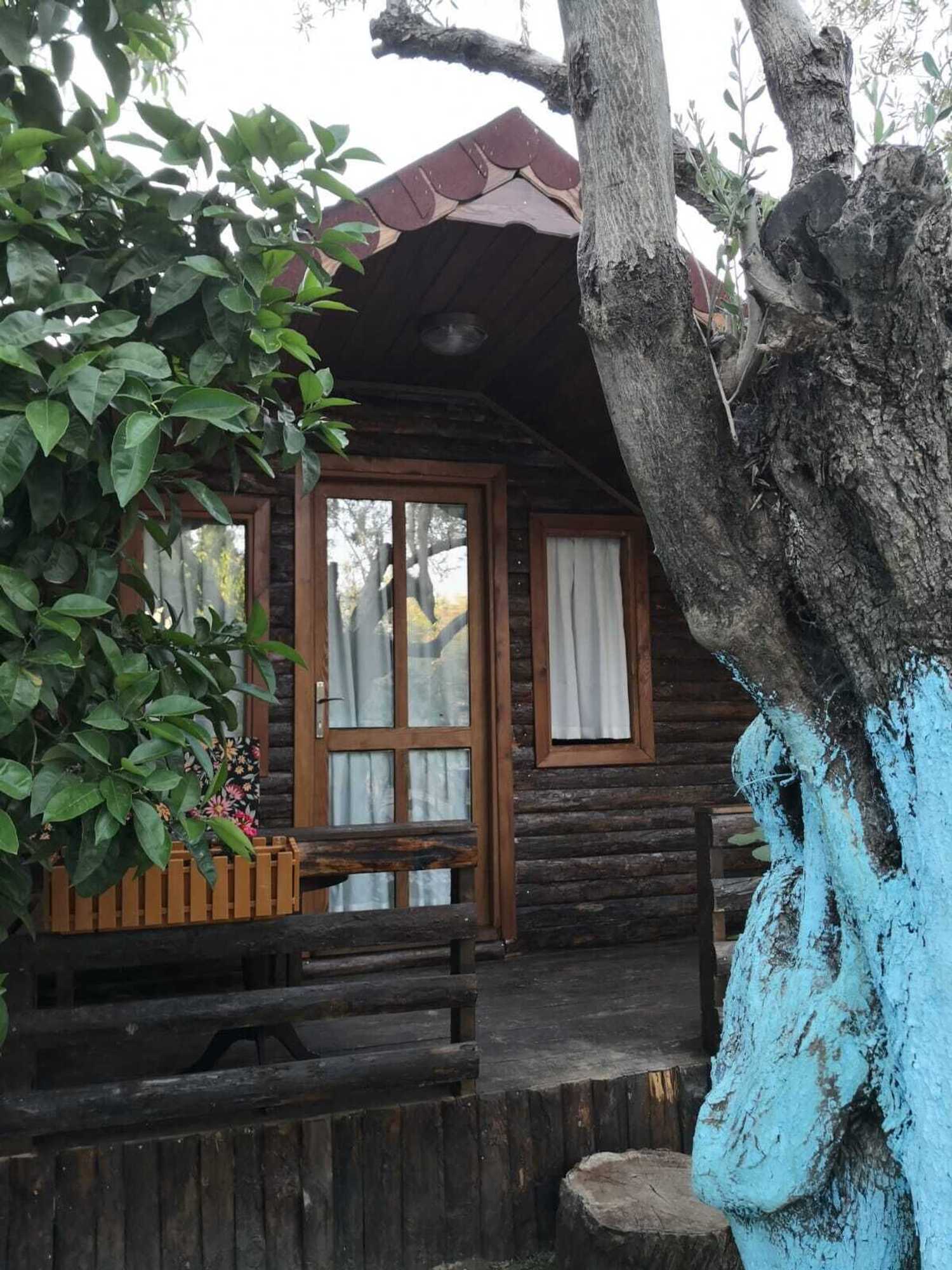 Gift card for Zeytindagi Bungalow Gift card for Zeytindagi Bungalow