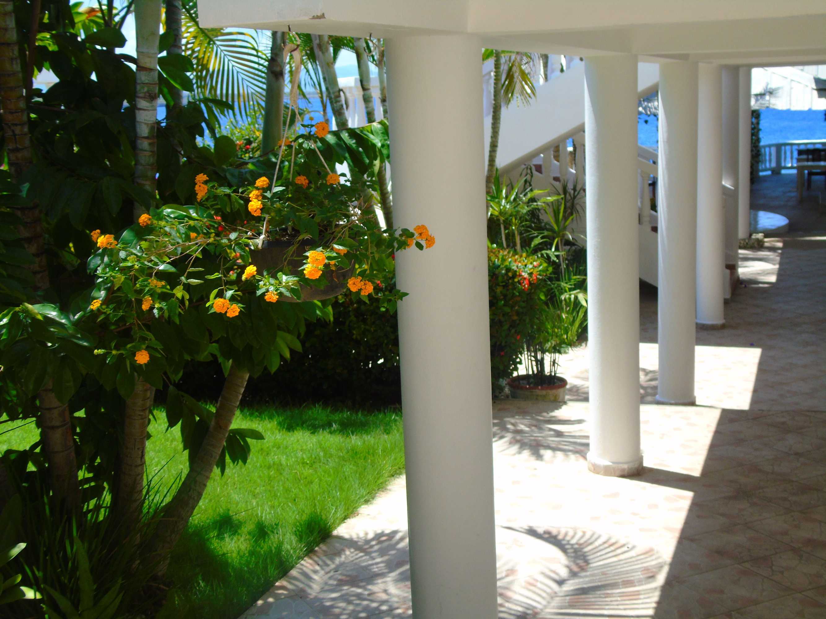 Gift card for Piergiorgio Palace Hotel