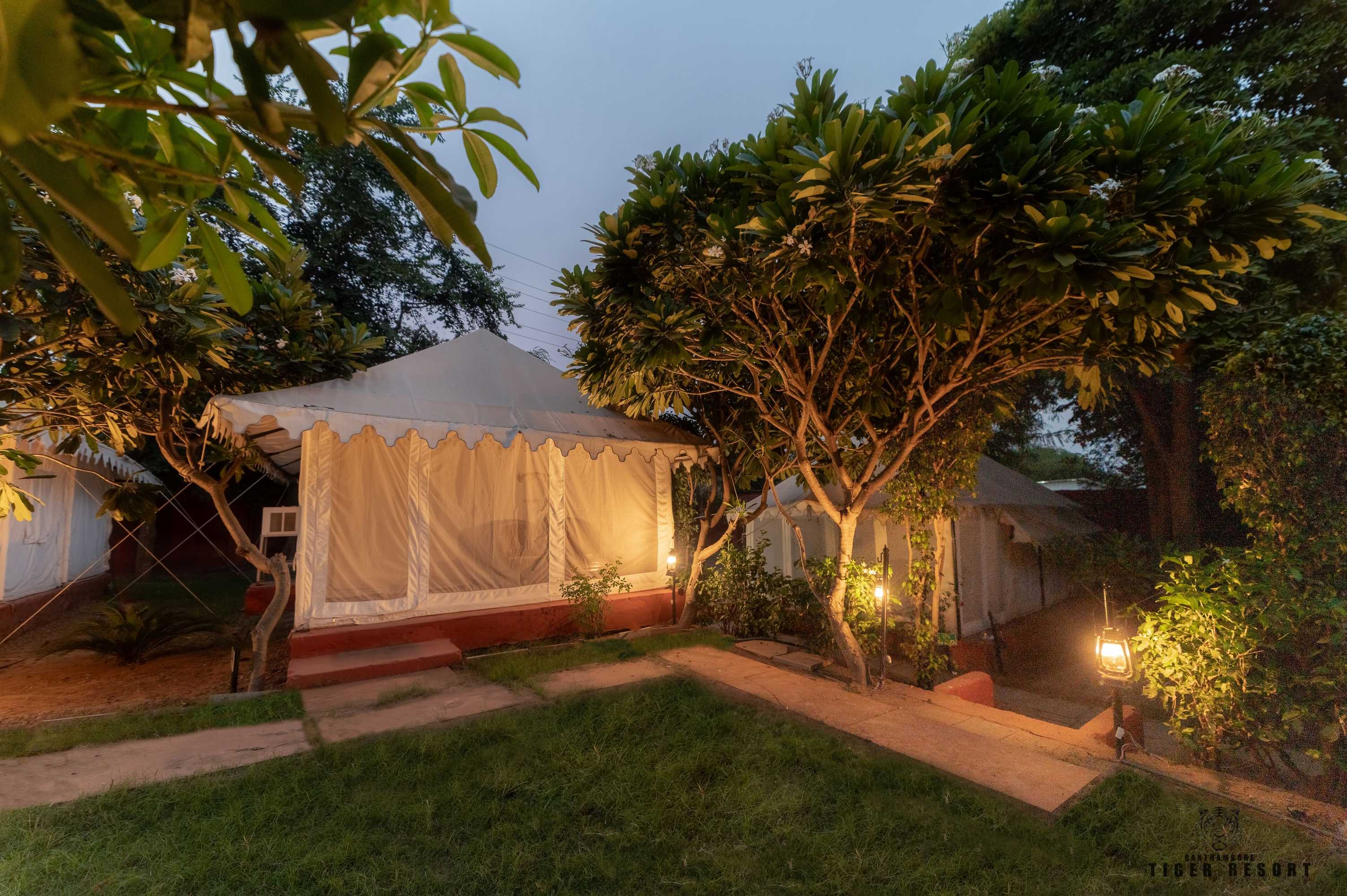 Gift card for Ranthambore Tiger Resort by Park Tree Gift card for Ranthambore Tiger Resort by Park Tree