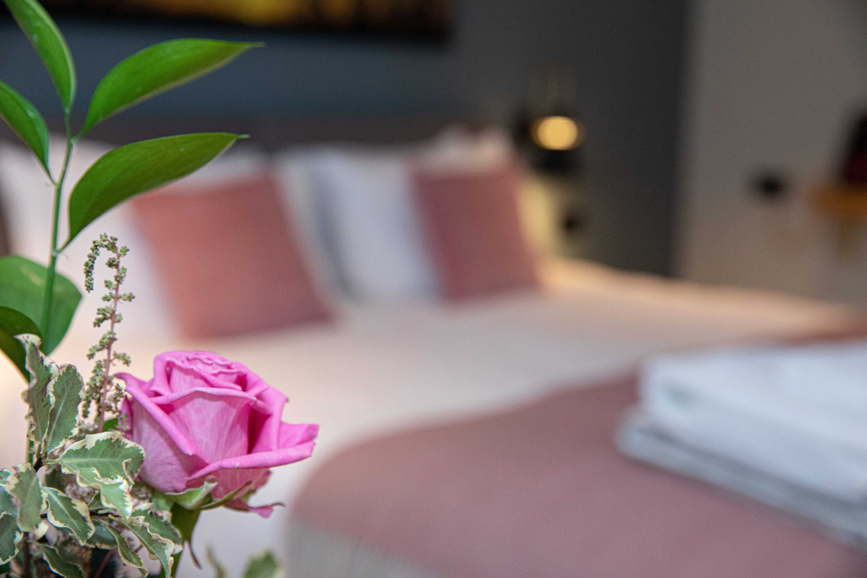 Gift card for The Nog Inn