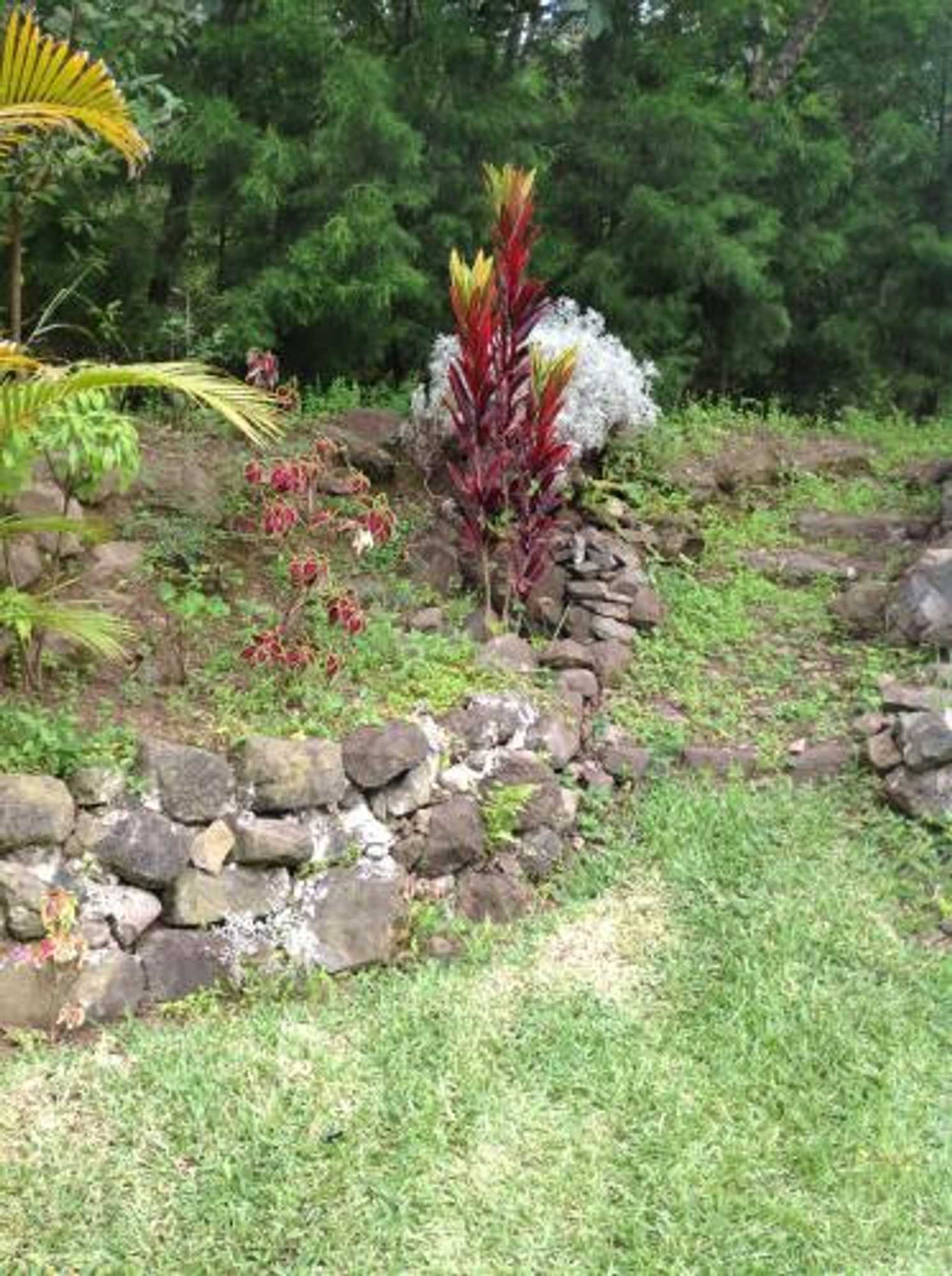 Gift card for Hotel y Bungalows Ecologicos Marcelo Gift card for Hotel y Bungalows Ecologicos Marcelo