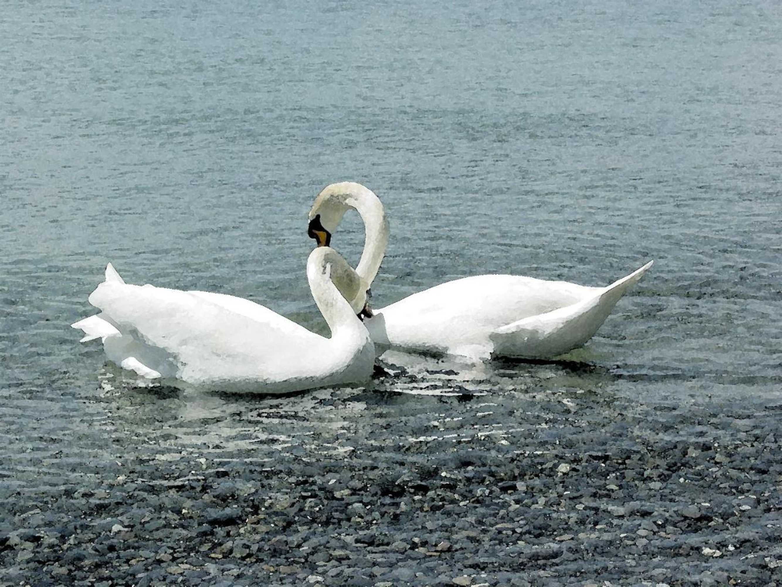 Gift card for Hotel Christine