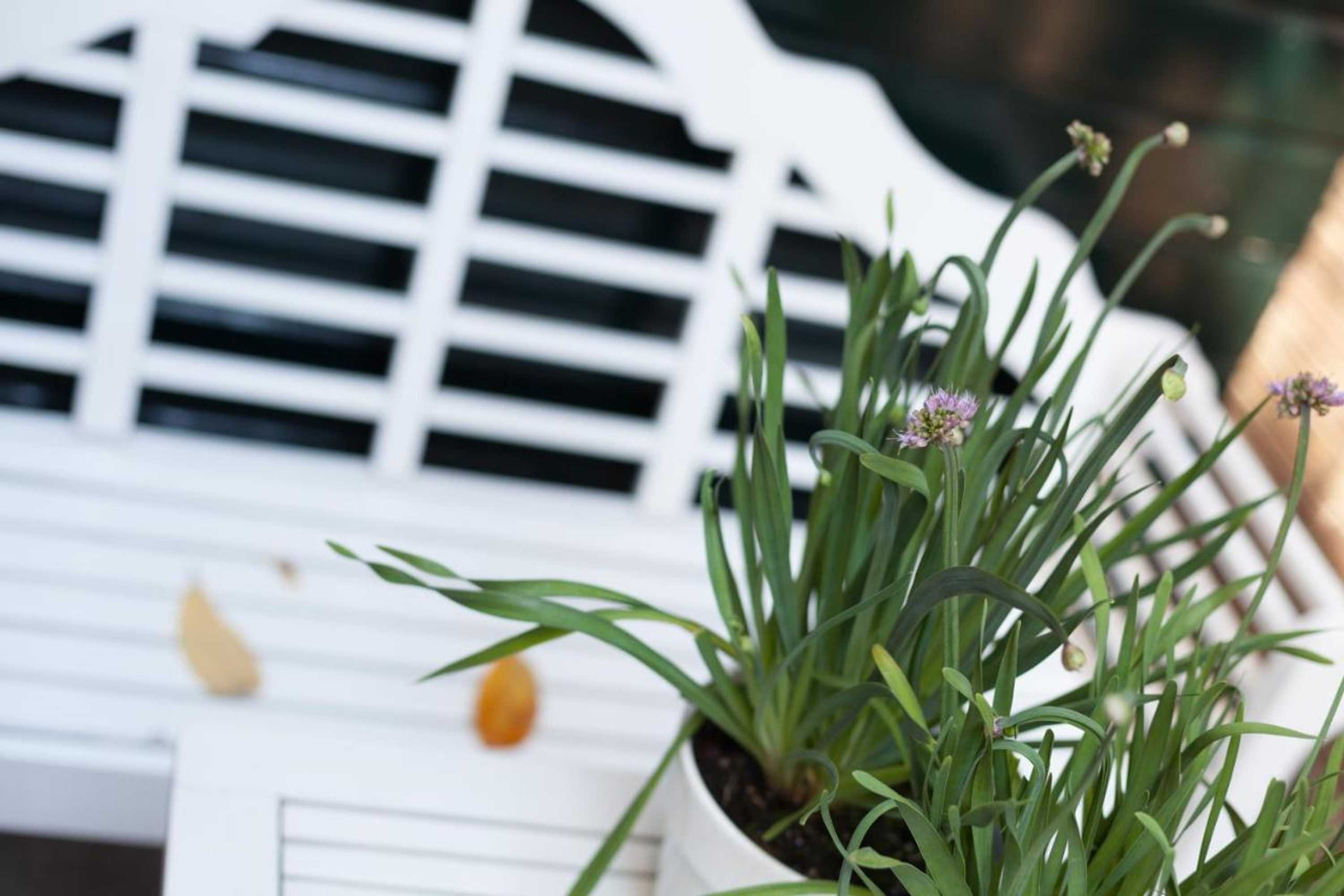 Gift card for Darley's