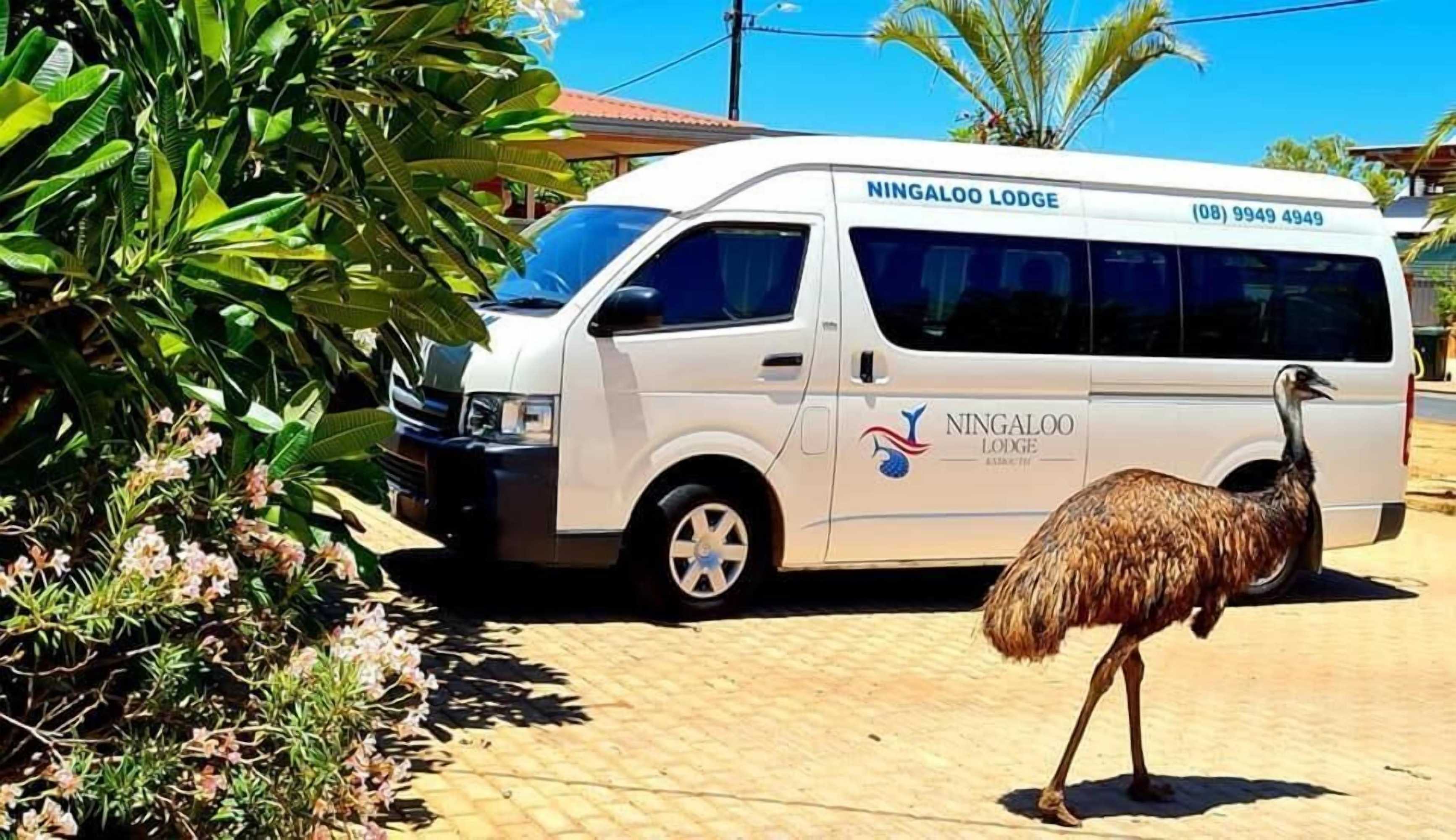Gift card for Ningaloo Lodge Exmouth Gift card for Ningaloo Lodge Exmouth