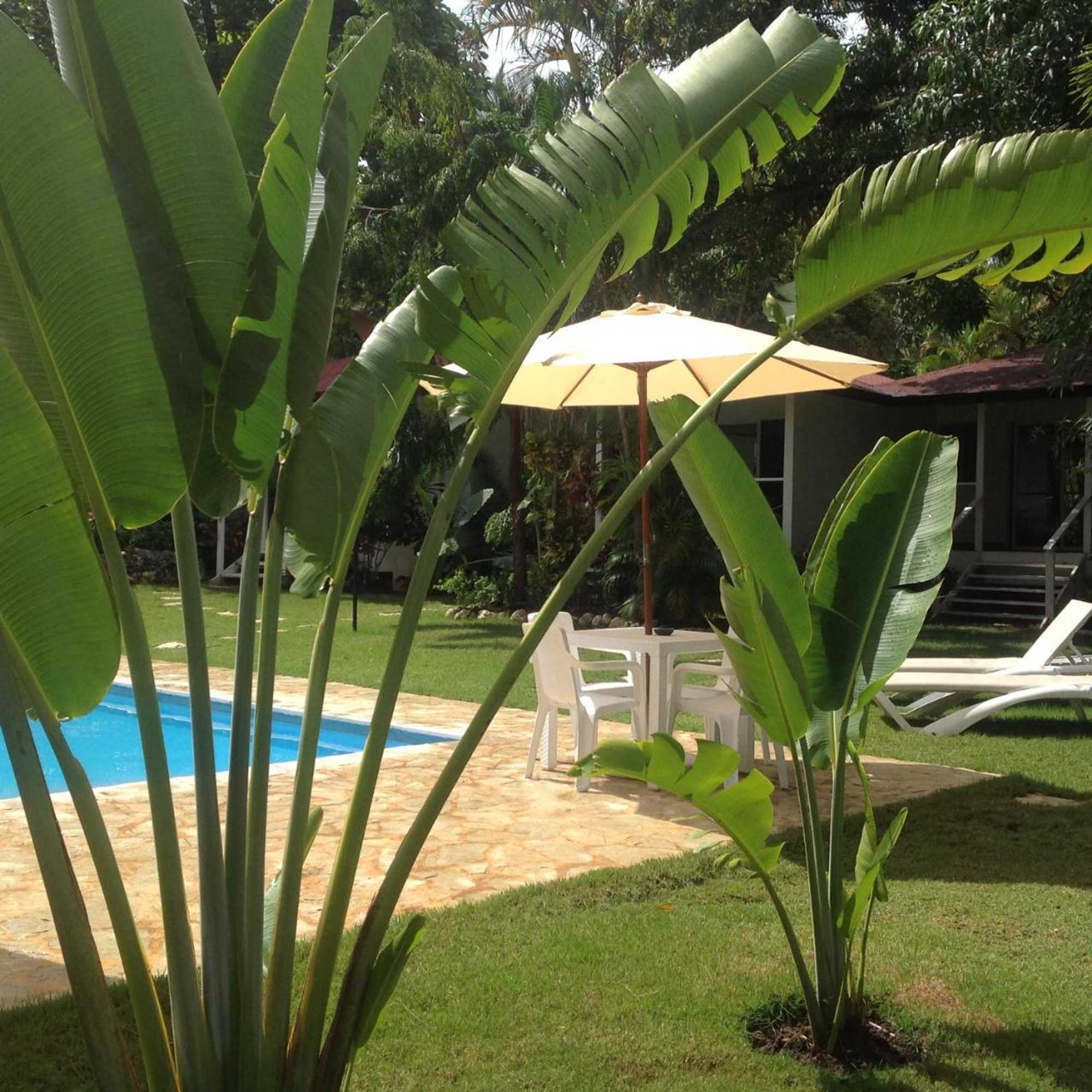 Gift card for Bungalow Natura Village