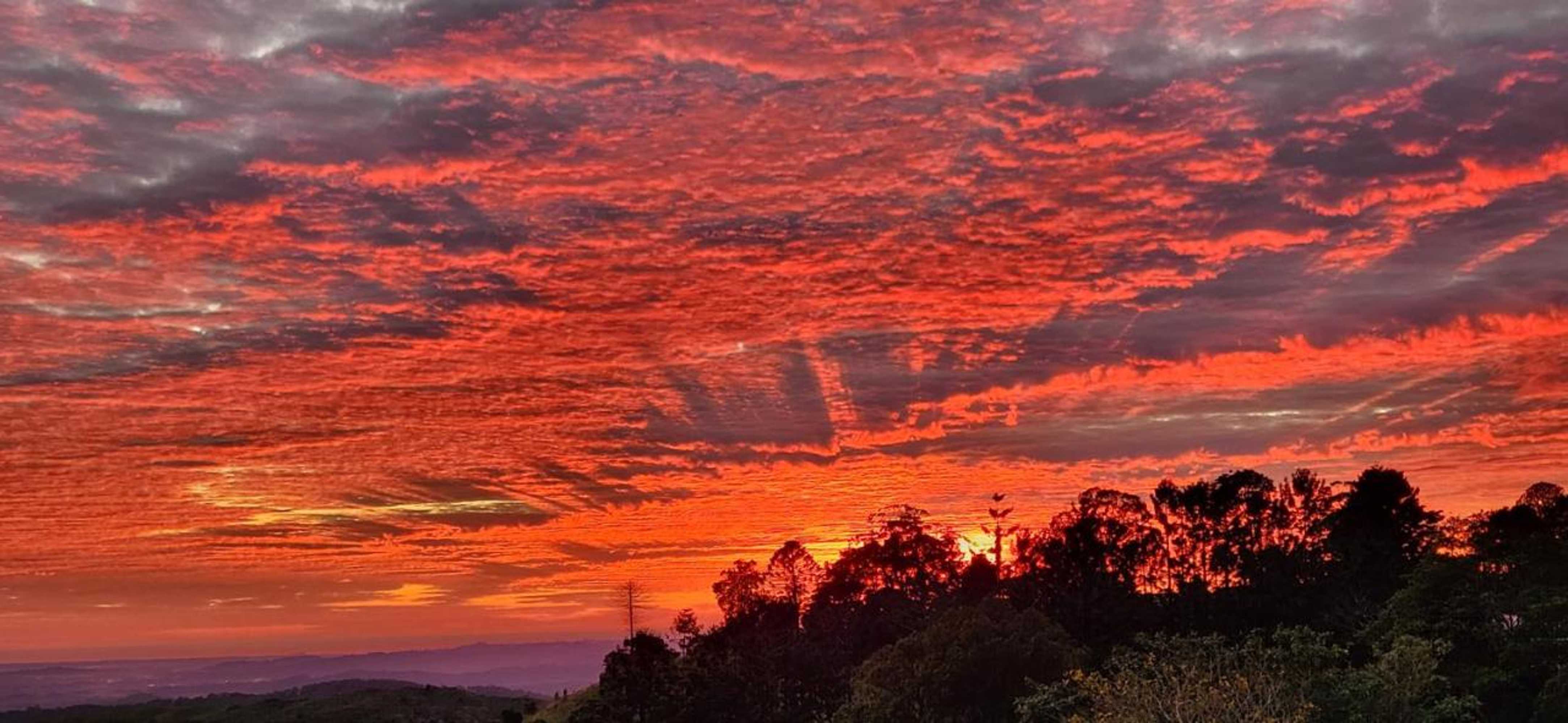 Gift card for Maleny Views Motel