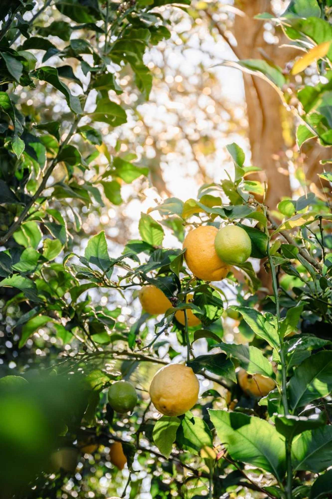 Gift card for Loch Retreat 550m To Town