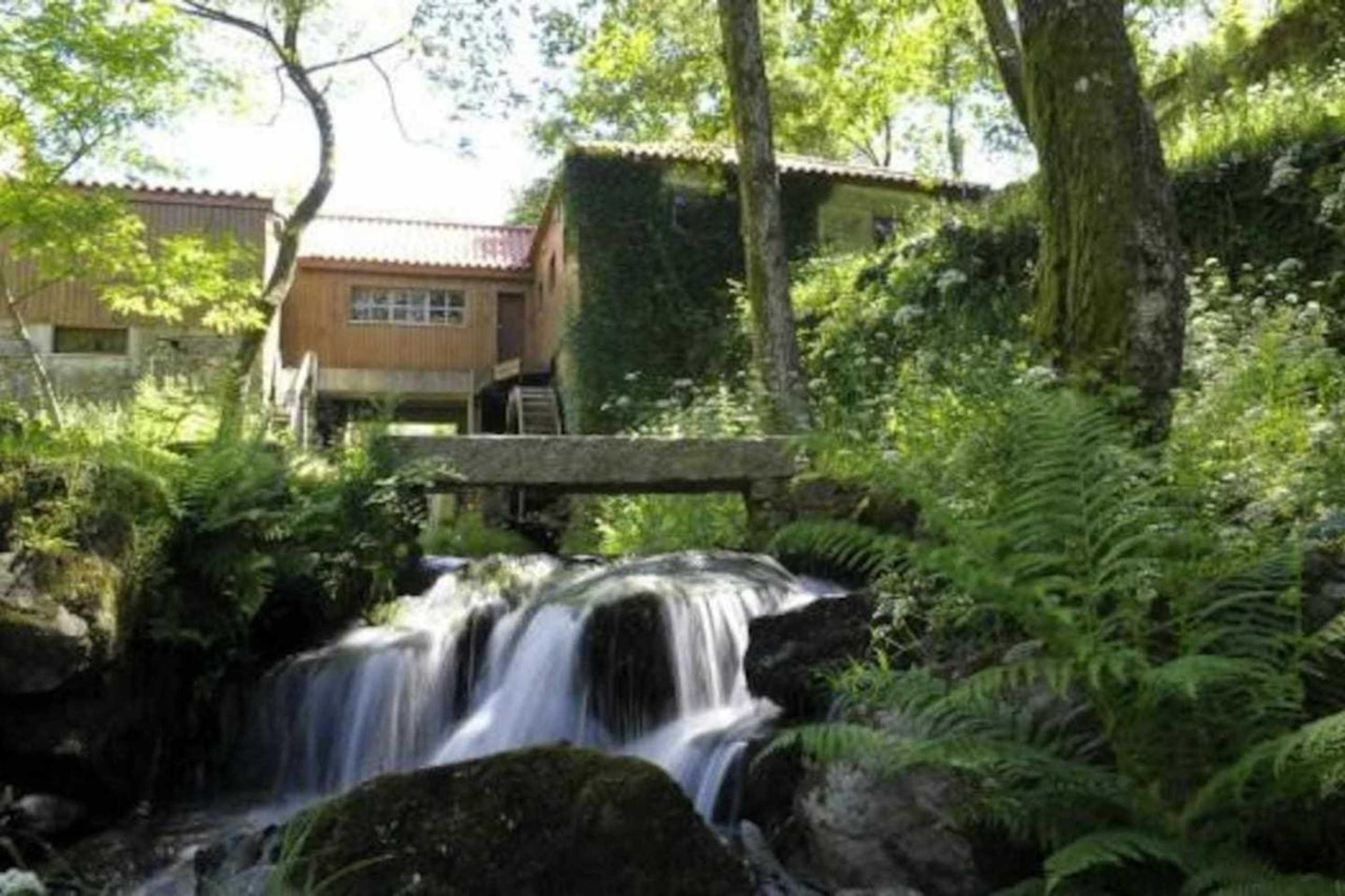 Gift card for Casa da Caneleira Camélias de Basto