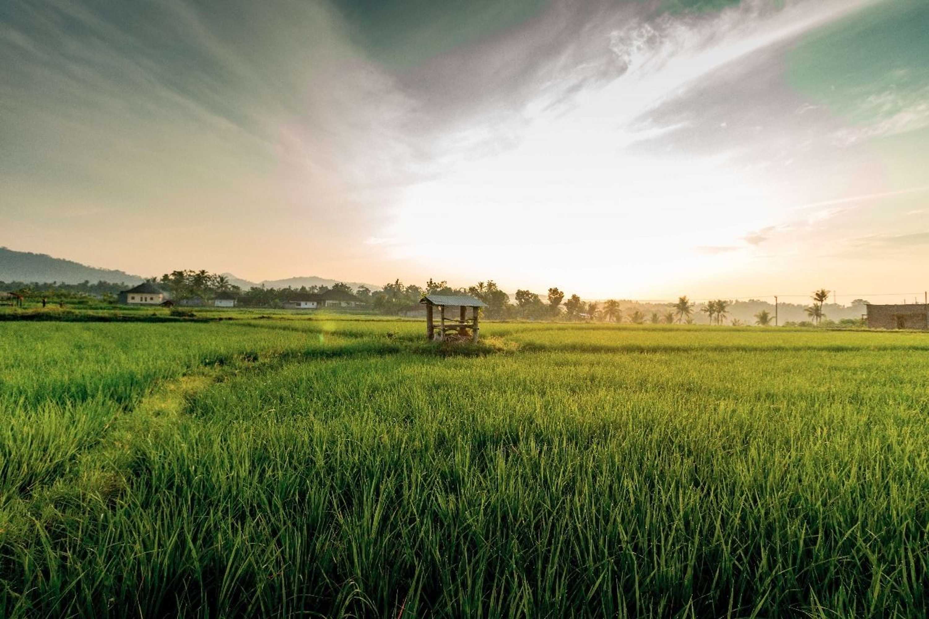 Gift card for Medewi Surf Villa Luxury