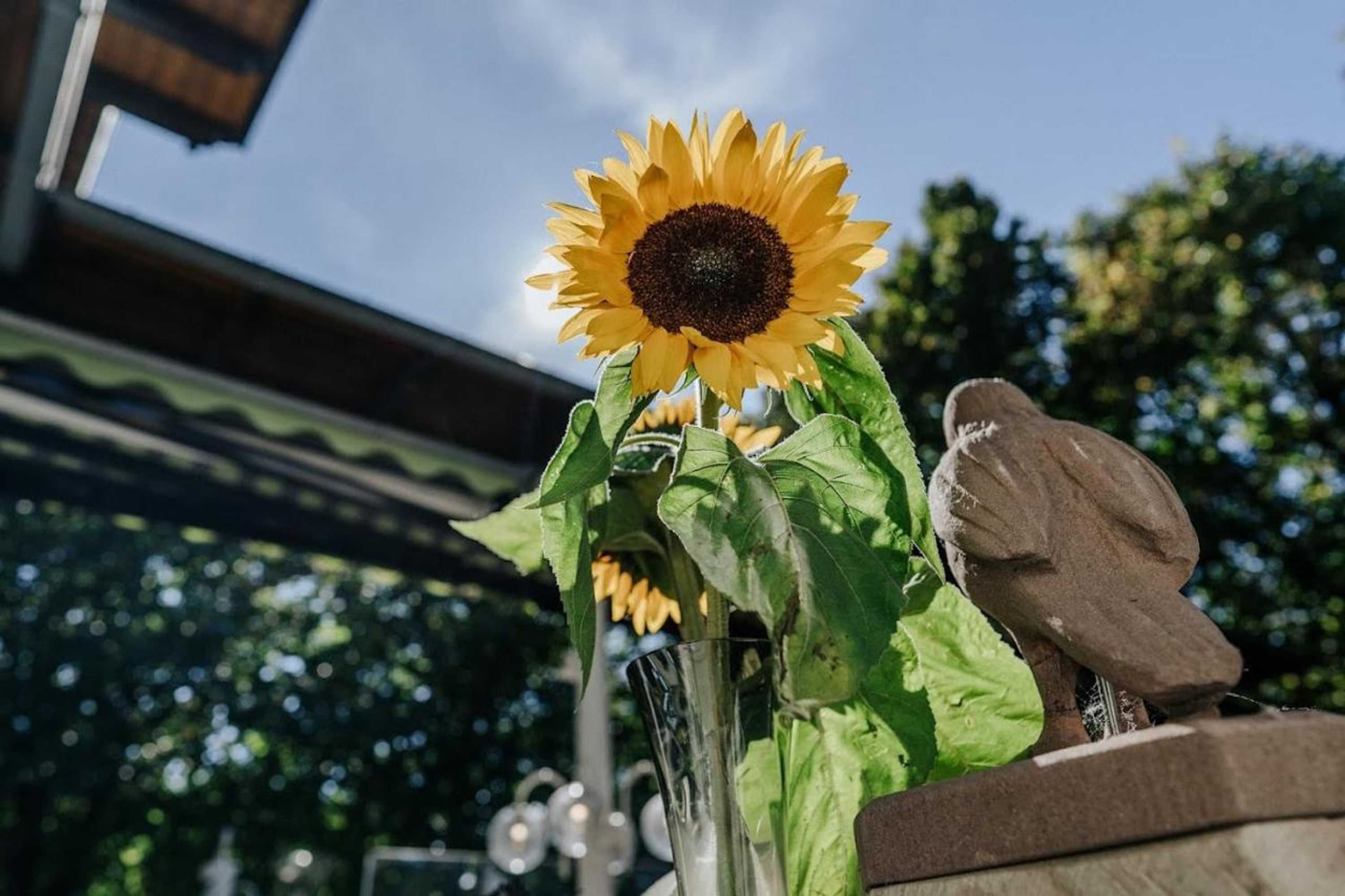 Gift card for Landgasthof Adler