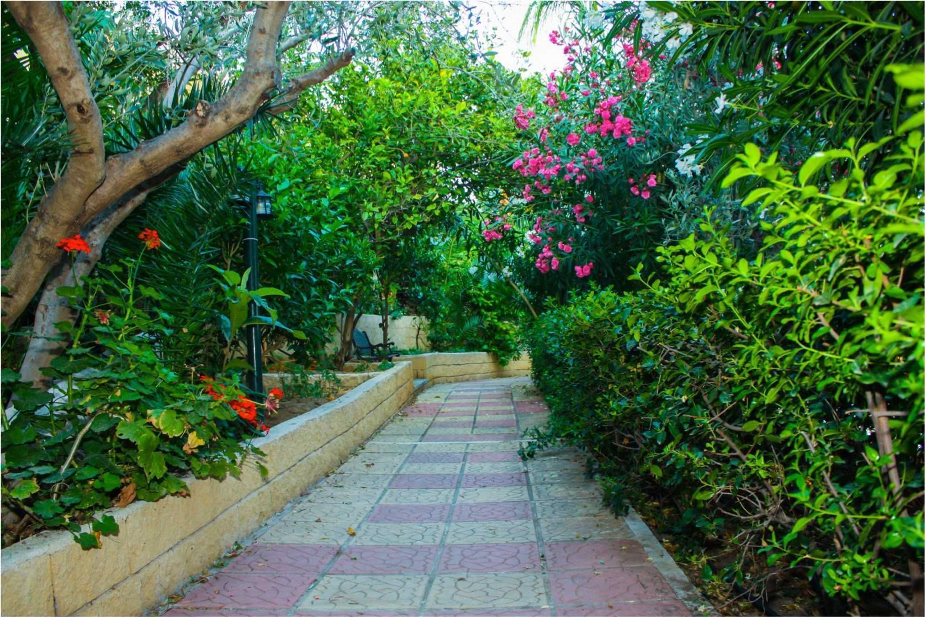 Gift card for Hotel Pappas