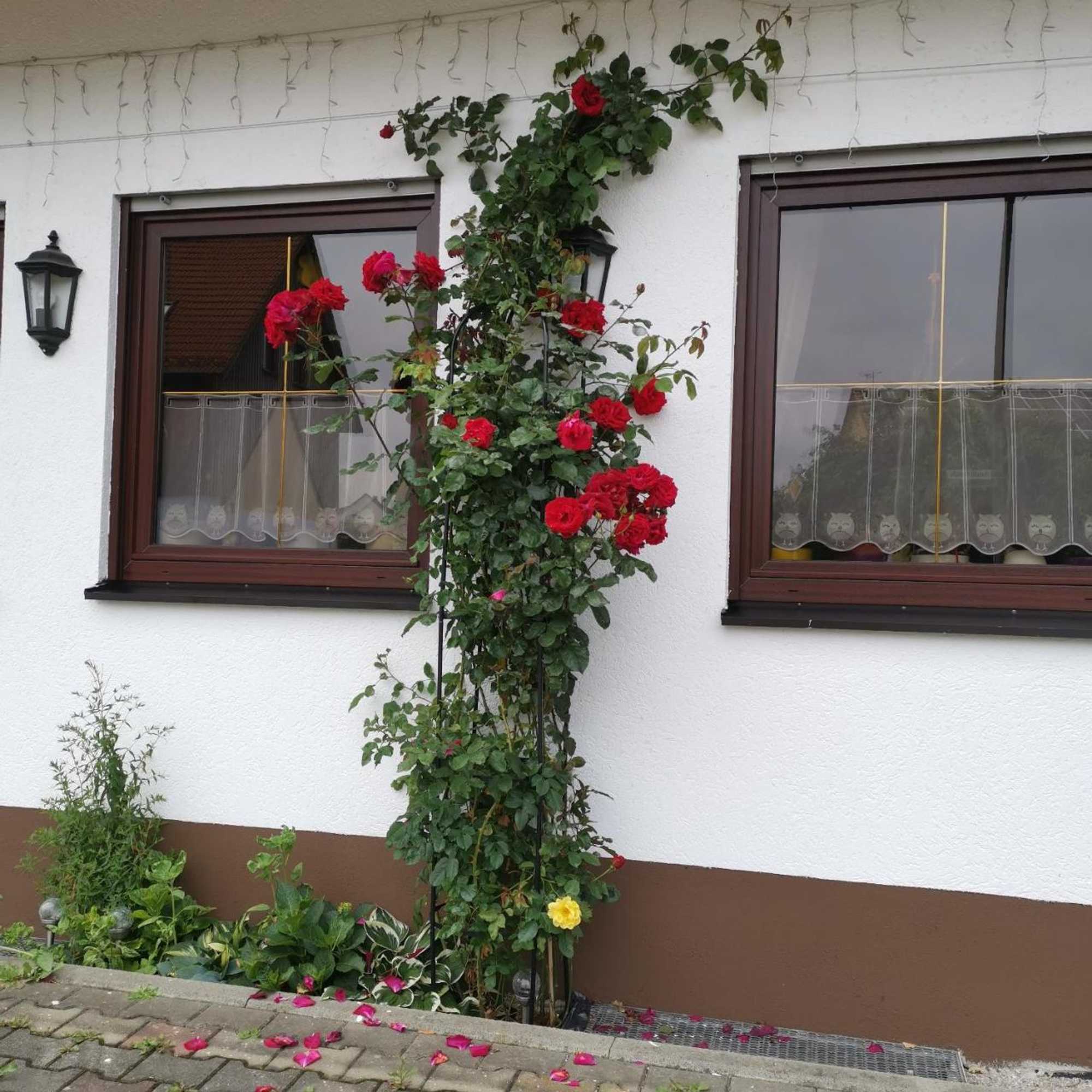 Gift card for Frankenstube-Winkelhaid