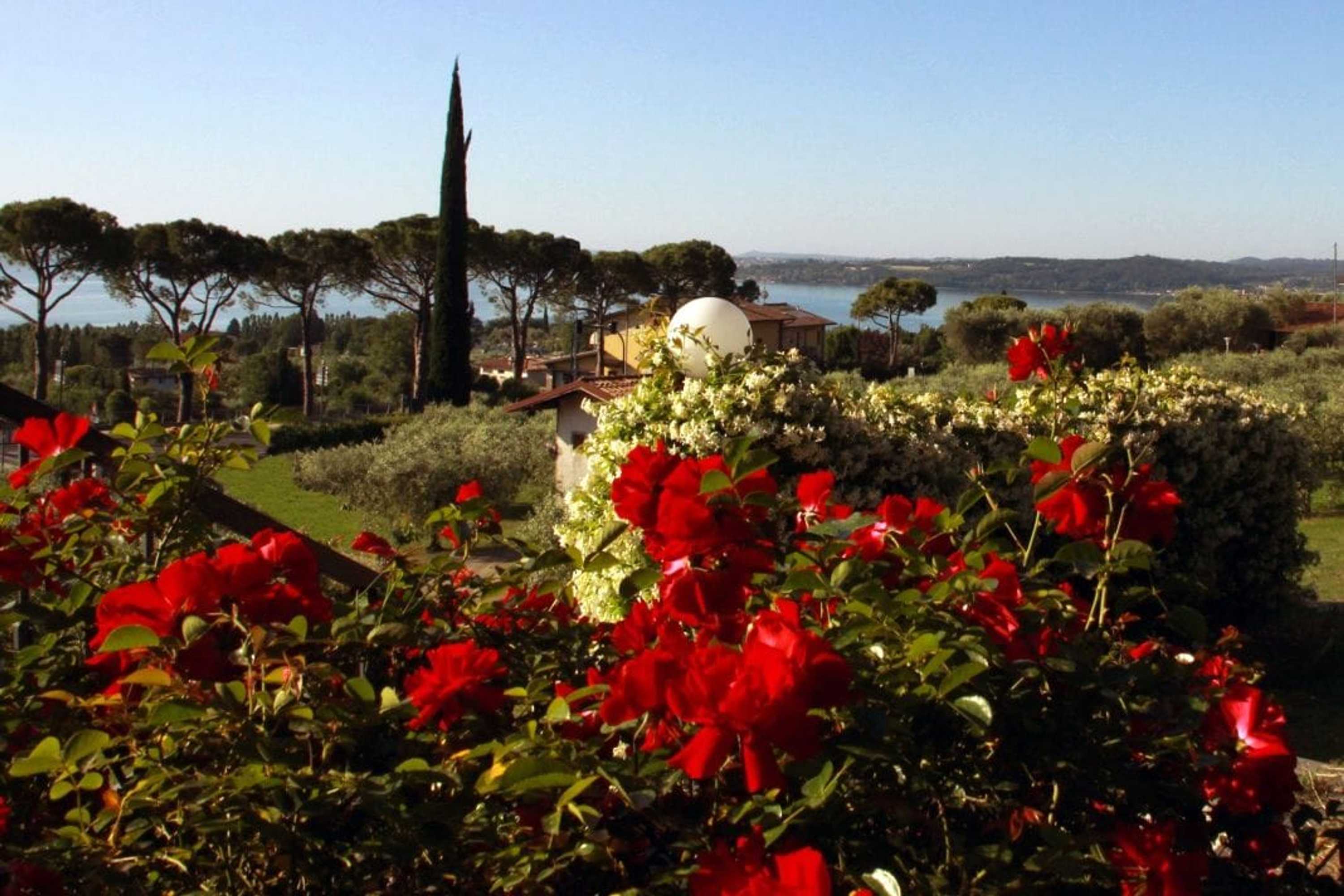 Gift card for Agriturismo Nonna Bettina Gift card for Agriturismo Nonna Bettina