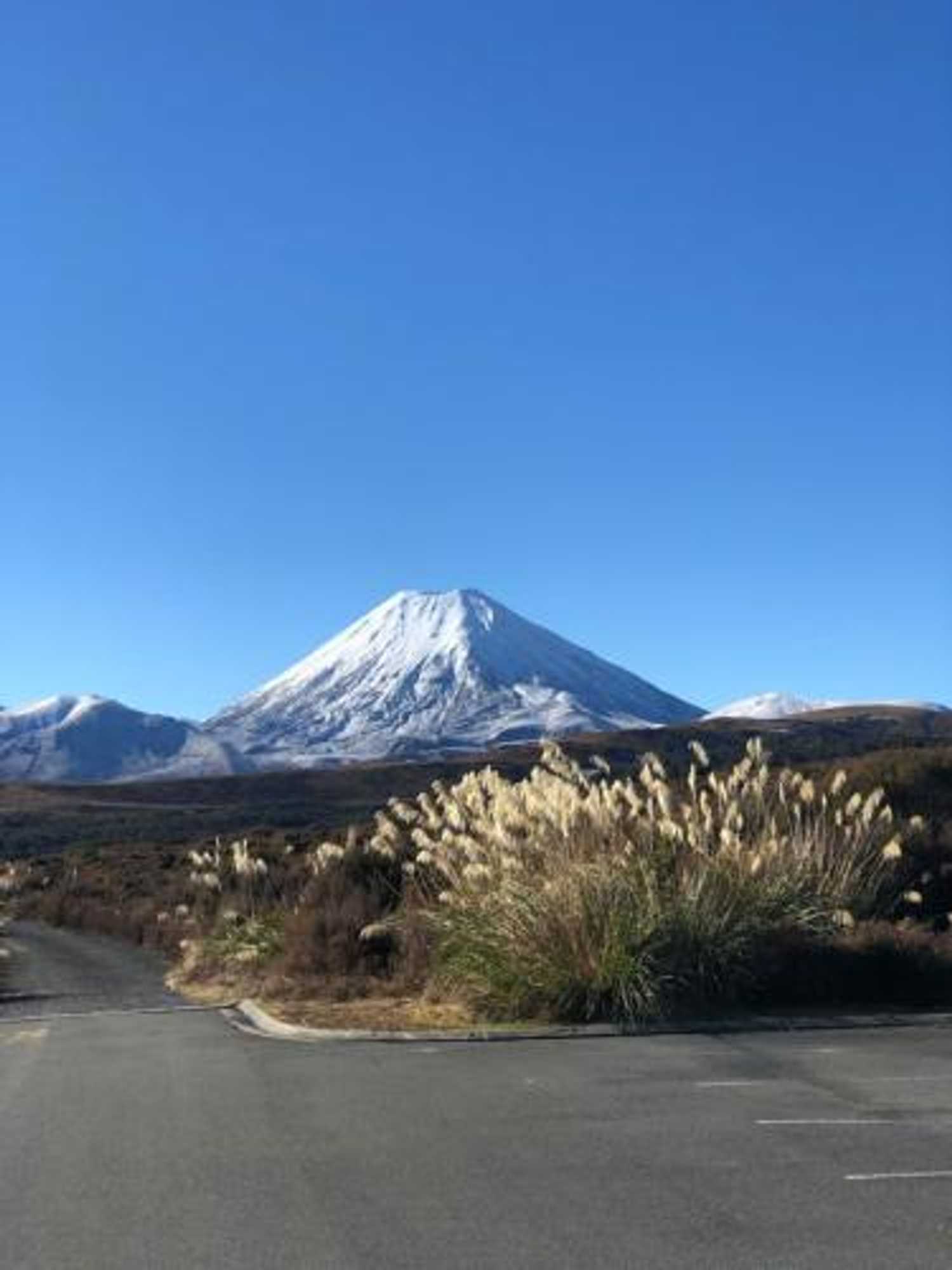Gift card for Tongariro Adventures Gift card for Tongariro Adventures
