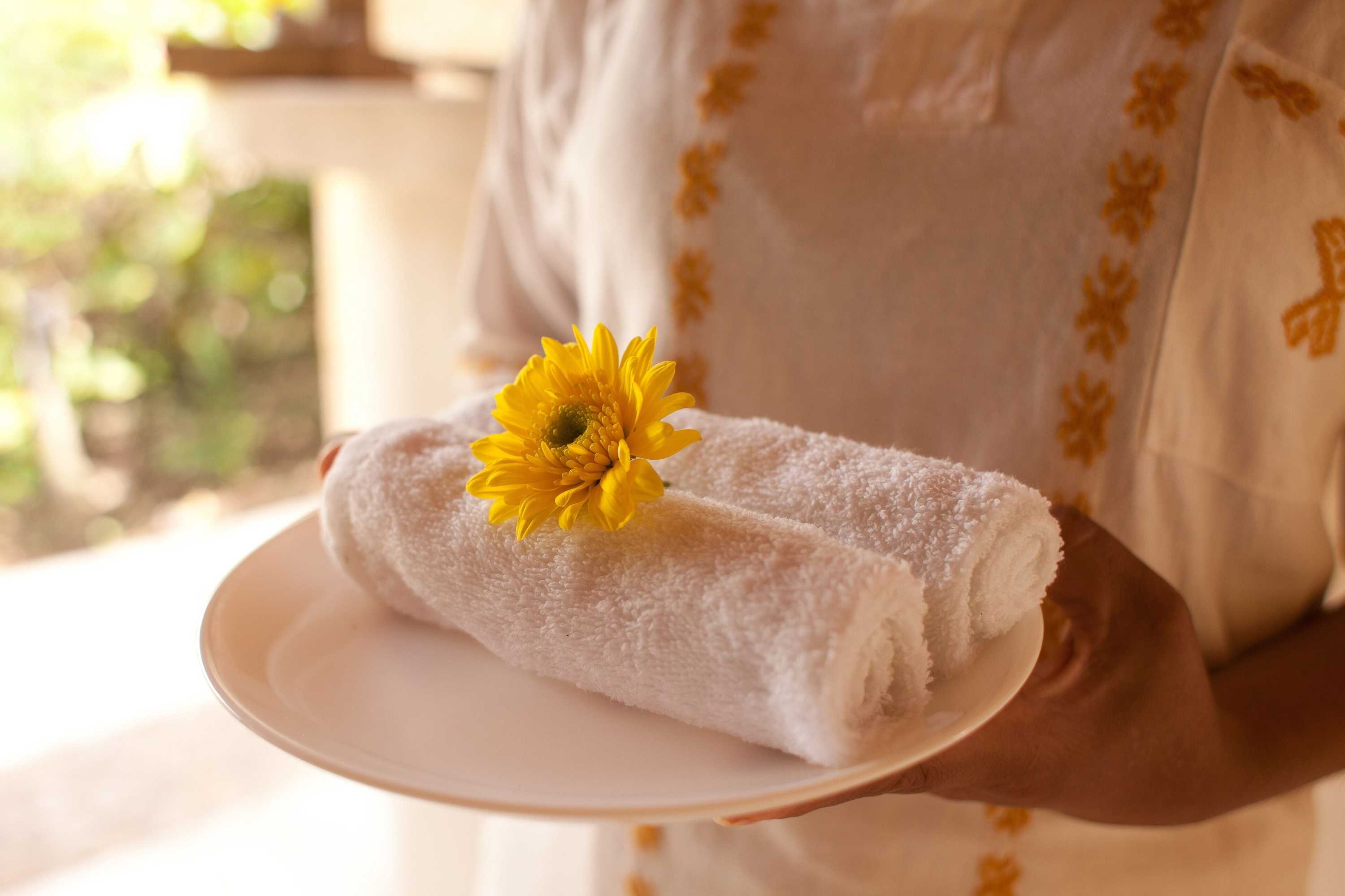 Gift card for Piedra de Agua Hotel Boutique Palenque Gift card for Piedra de Agua Hotel Boutique Palenque