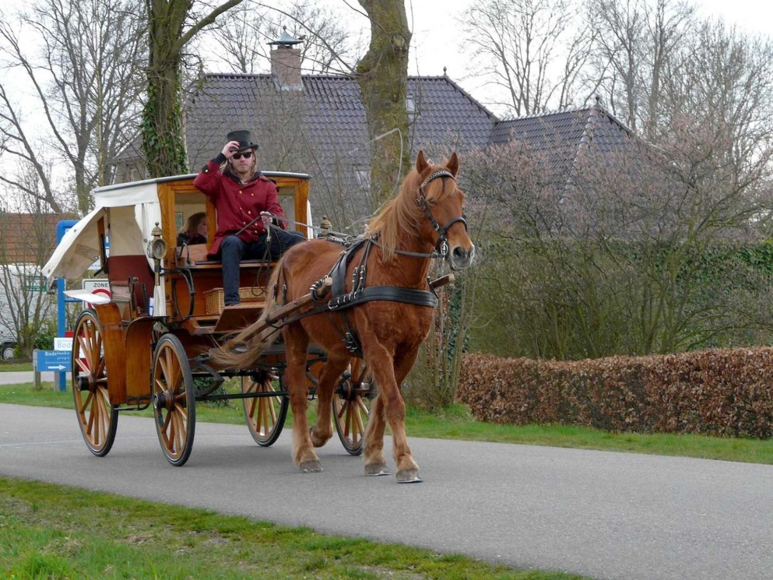 Gift card for B&b De Galeriet Giethoorn