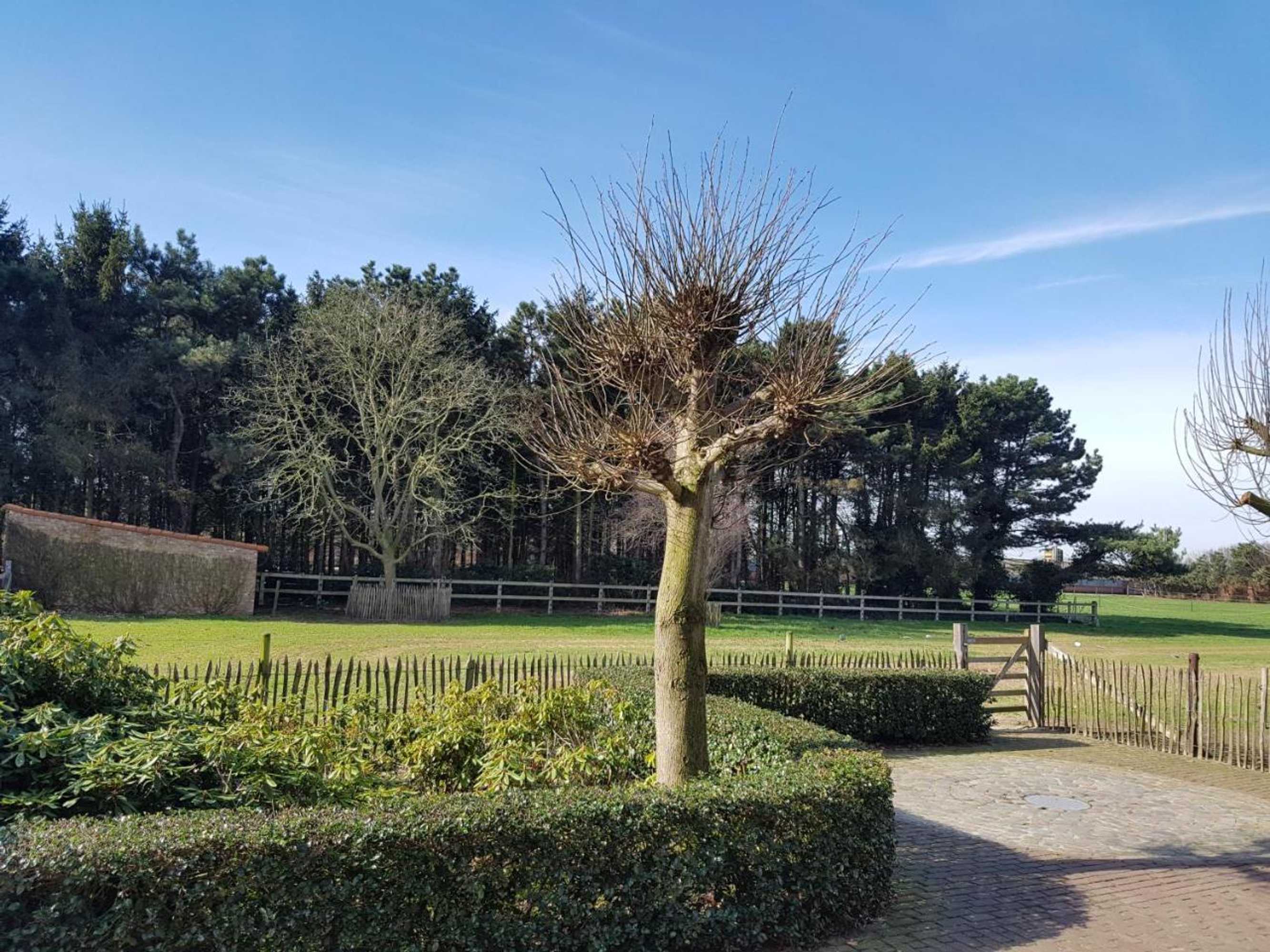 Gift card for B&b Bergenhof