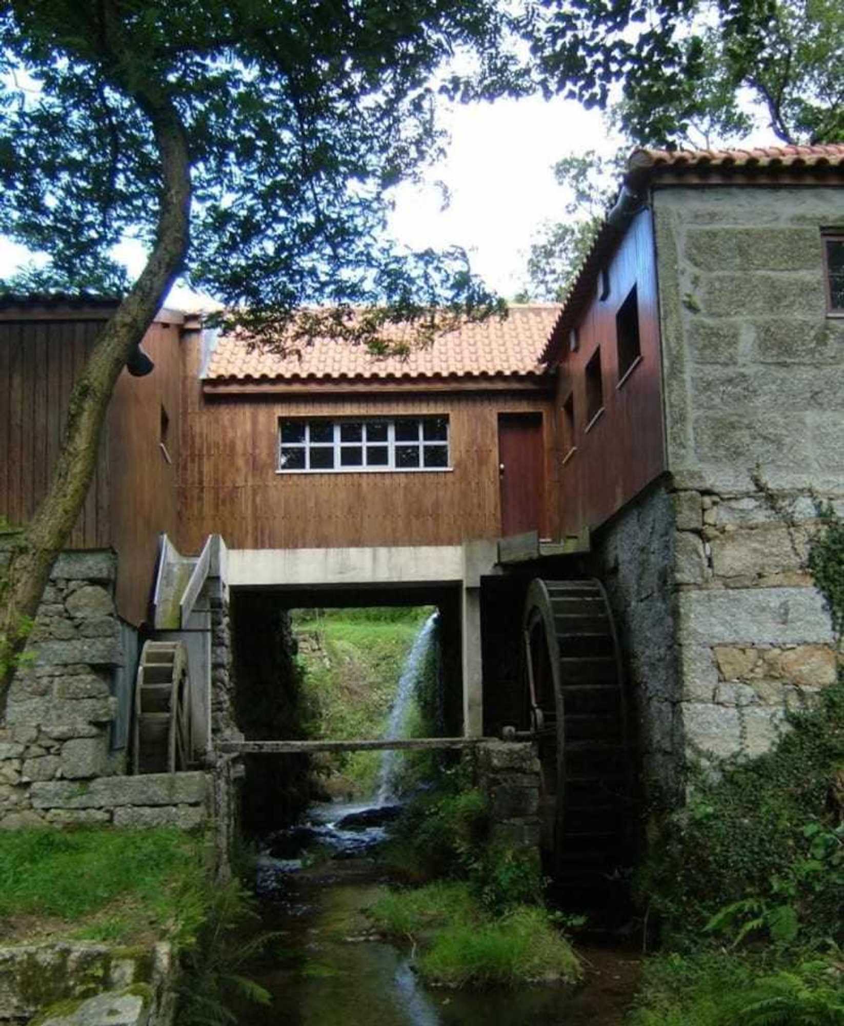 Gift card for Casa da Caneleira Camélias de Basto