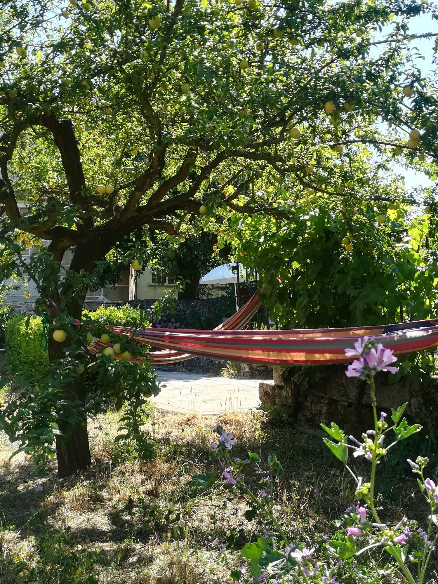 Gift card for Solar Dos Carvalhos