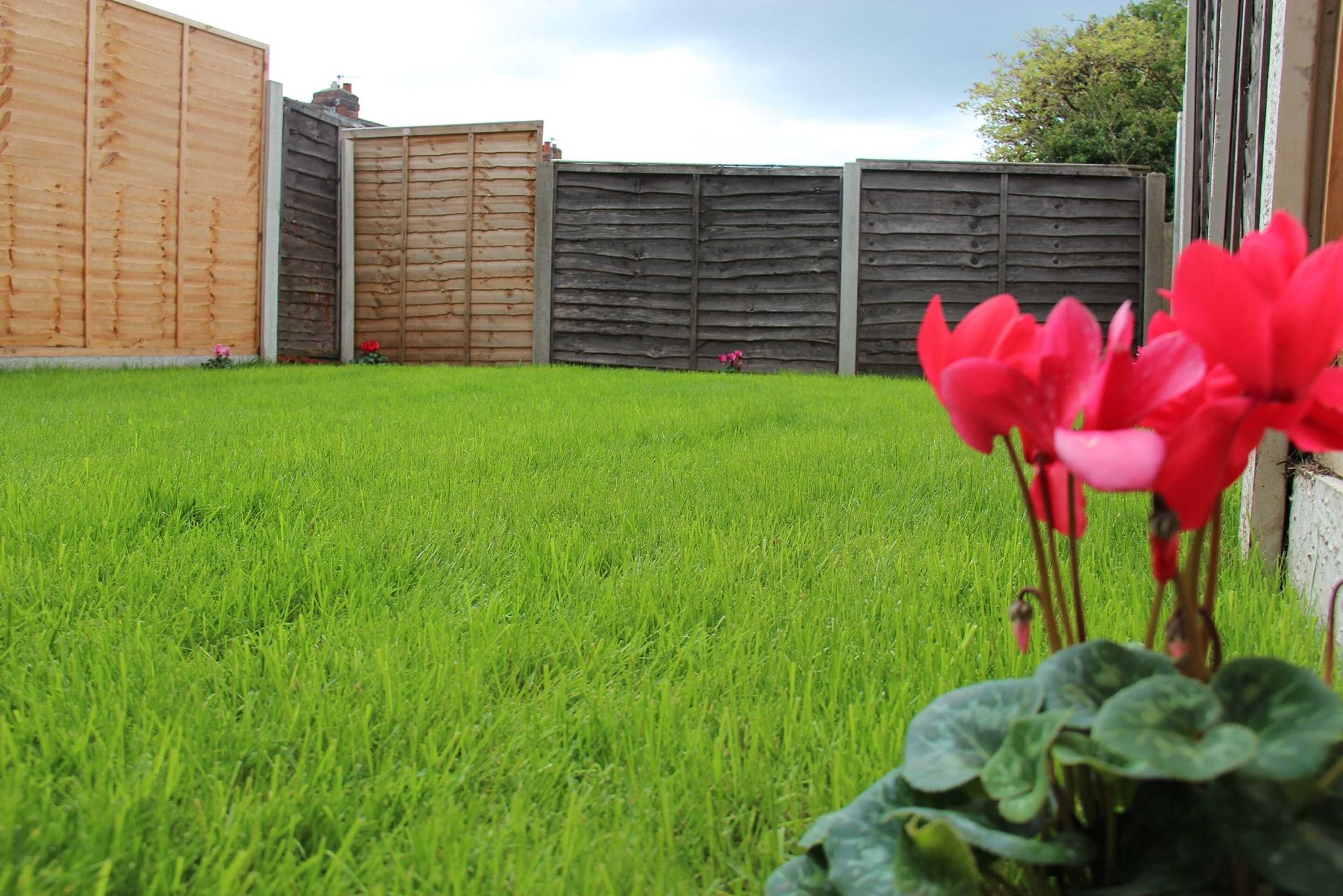 Gift card for Mosh Homes