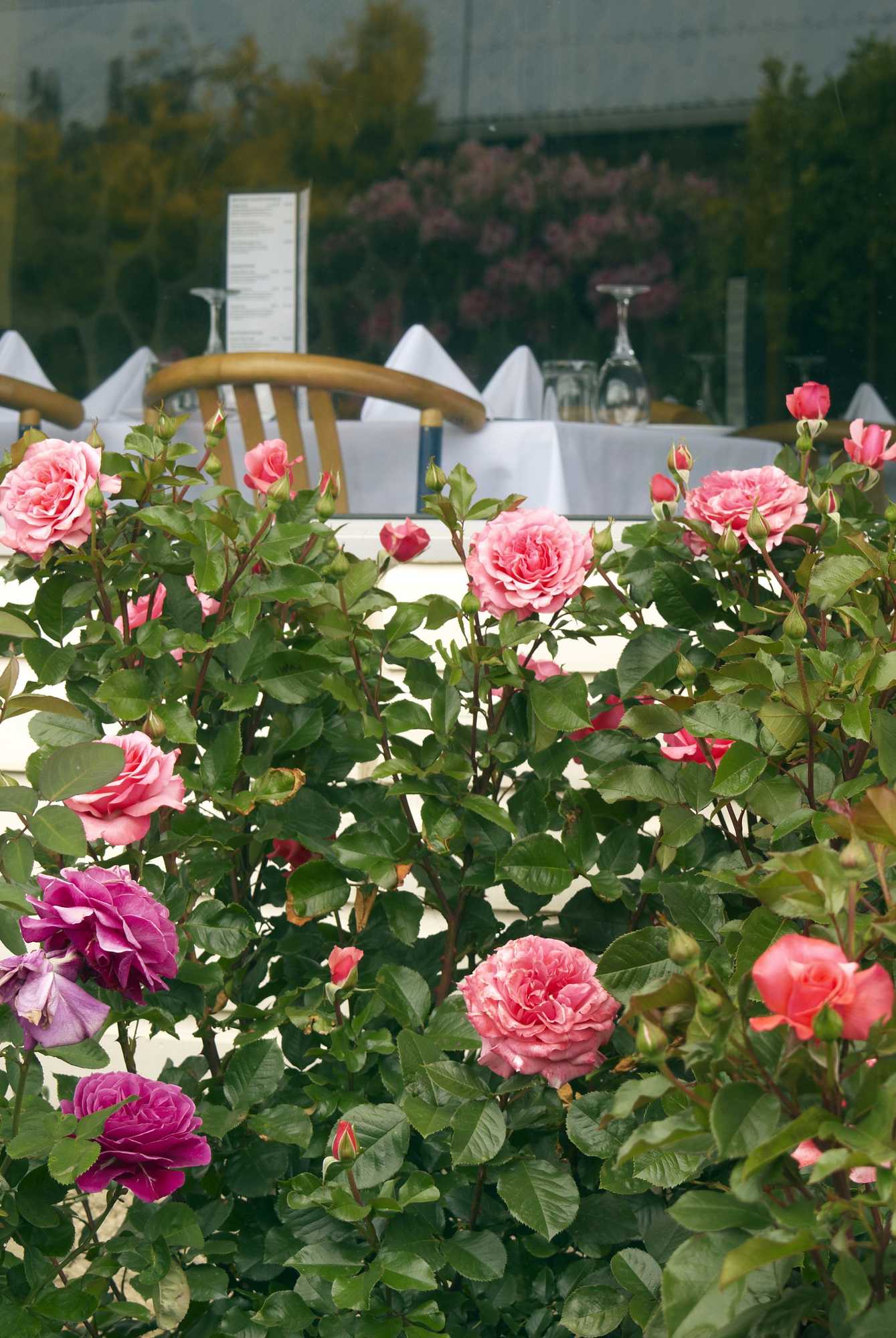 Gift card for Kingsgate Hotel Te Anau Gift card for Kingsgate Hotel Te Anau