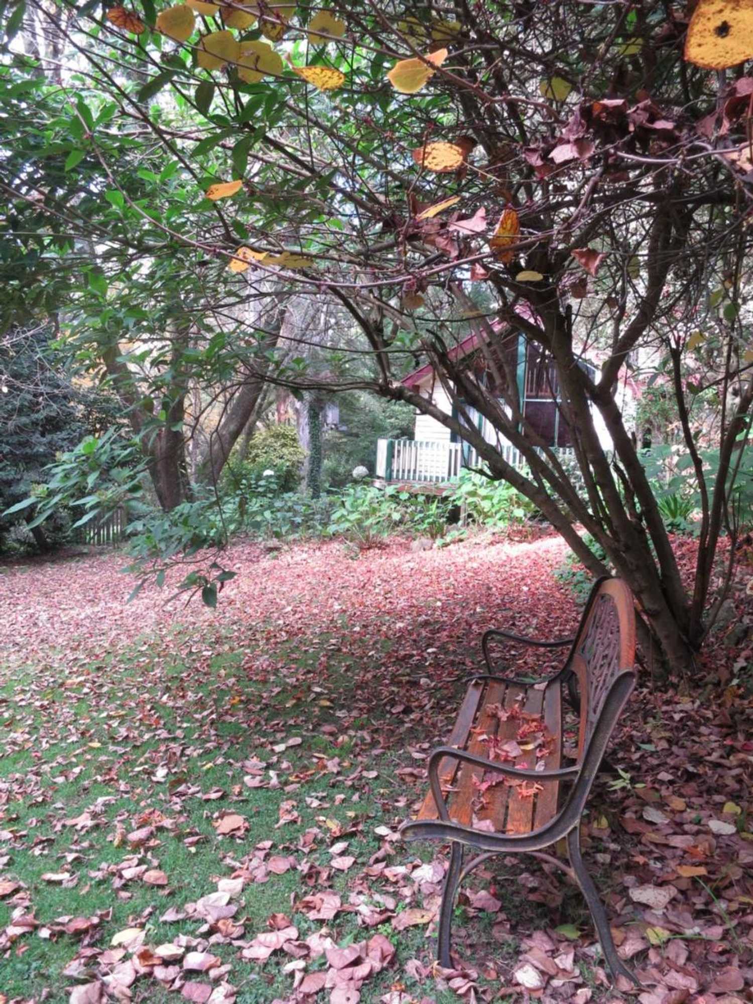 Gift card for Cambridge Cottages