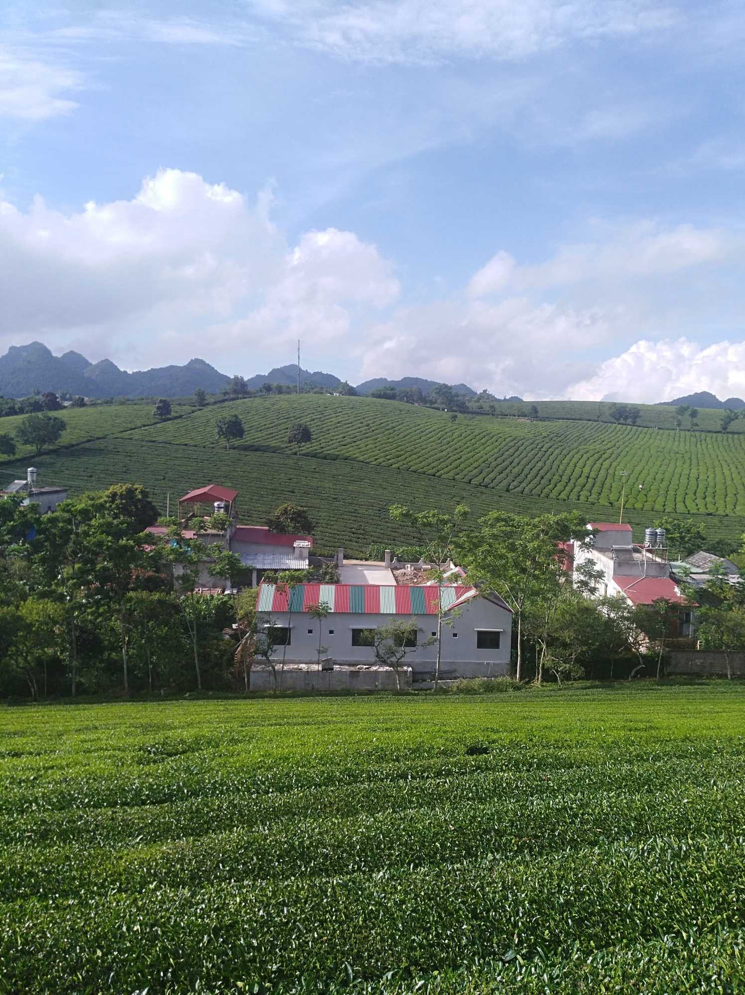 Gift card for Homestay Lang Che 69