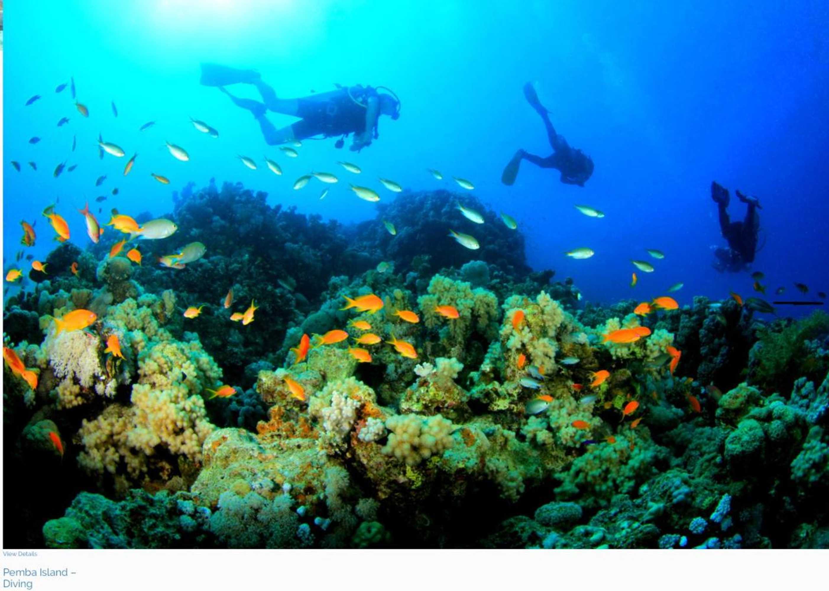 Gift card for Lala Lodge Pemba Zanzibar