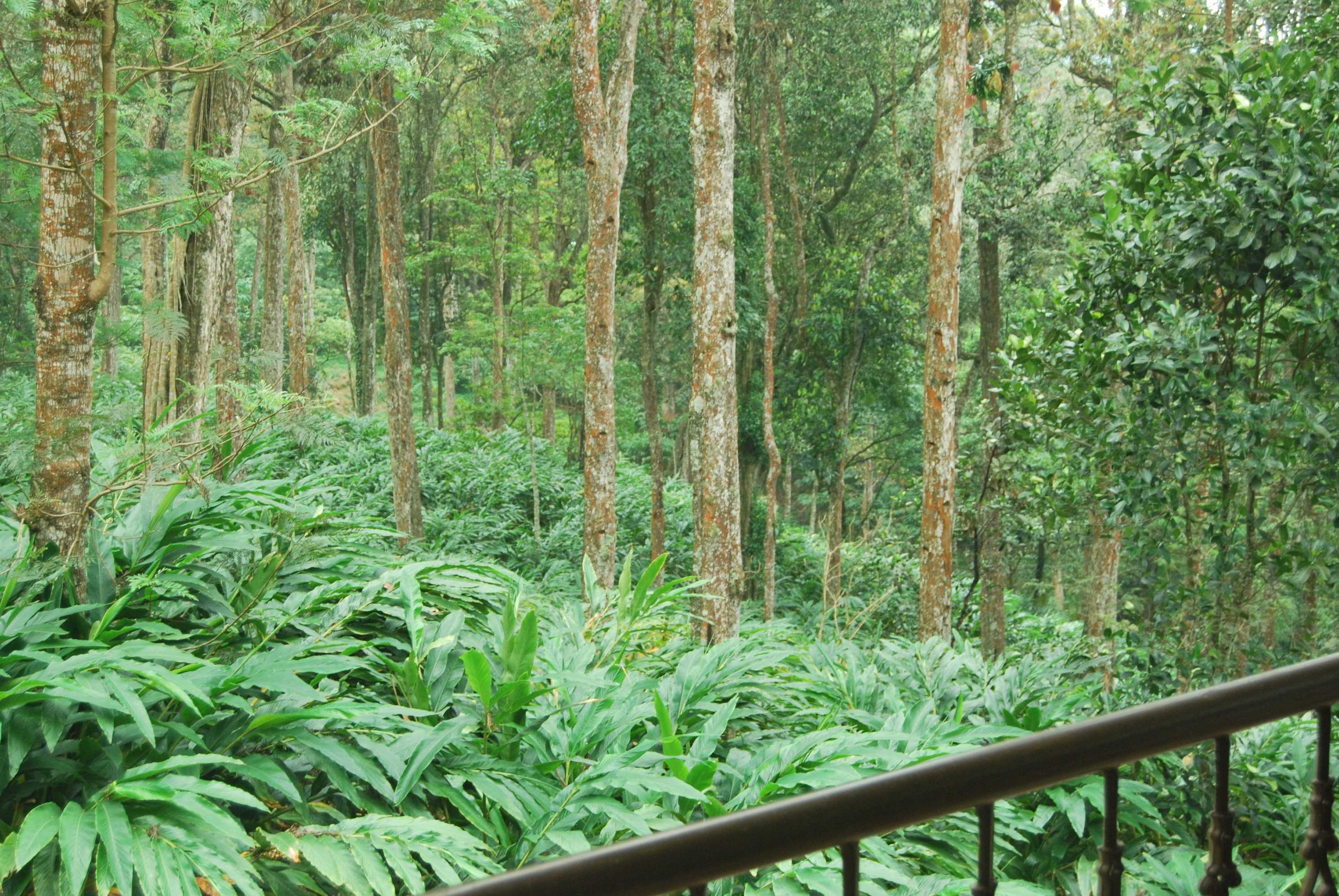 Gift card for Green Spaces Munnar Gift card for Green Spaces Munnar