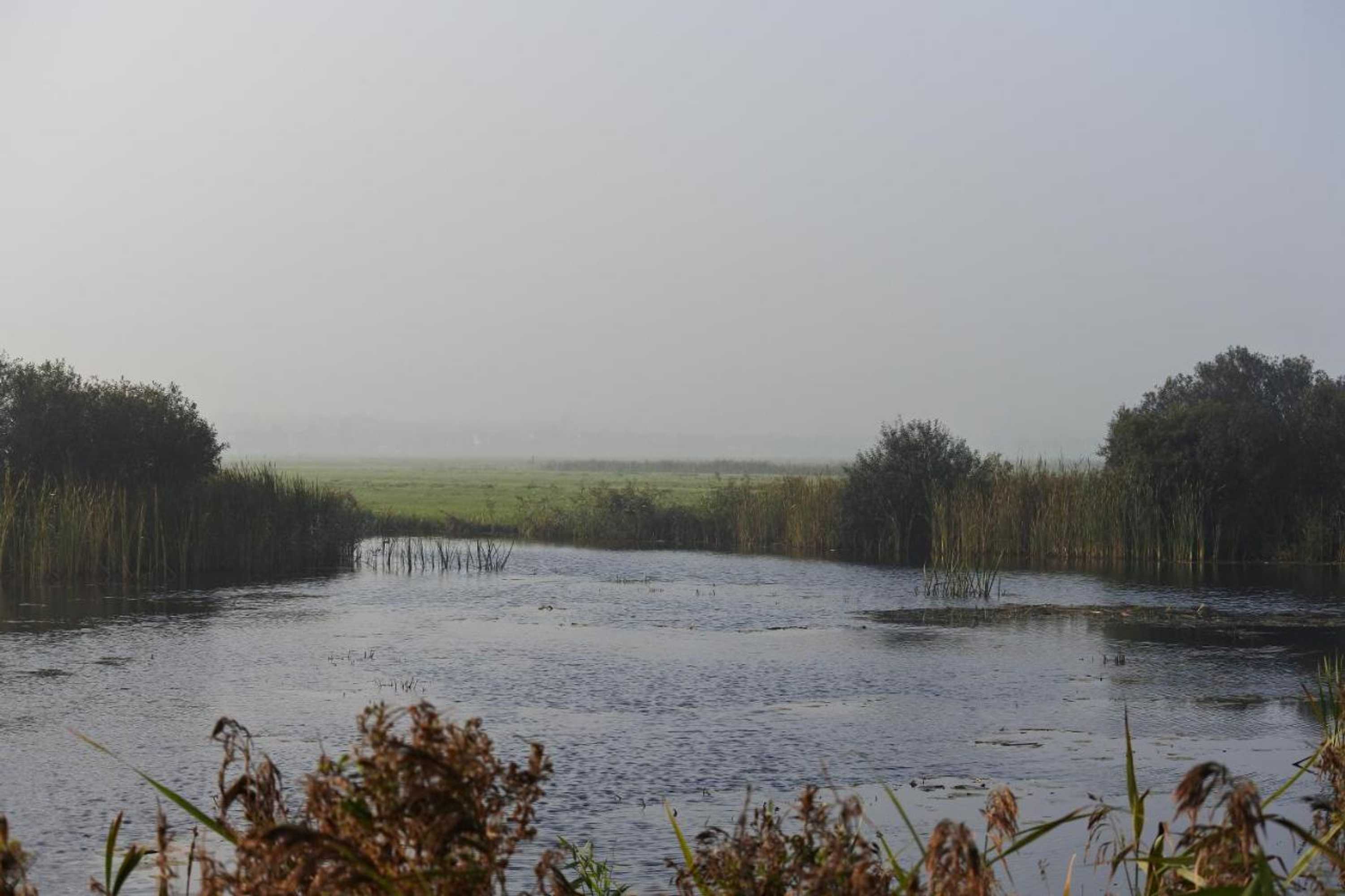 Gift card for Bed en Breakfast de Houtwiel